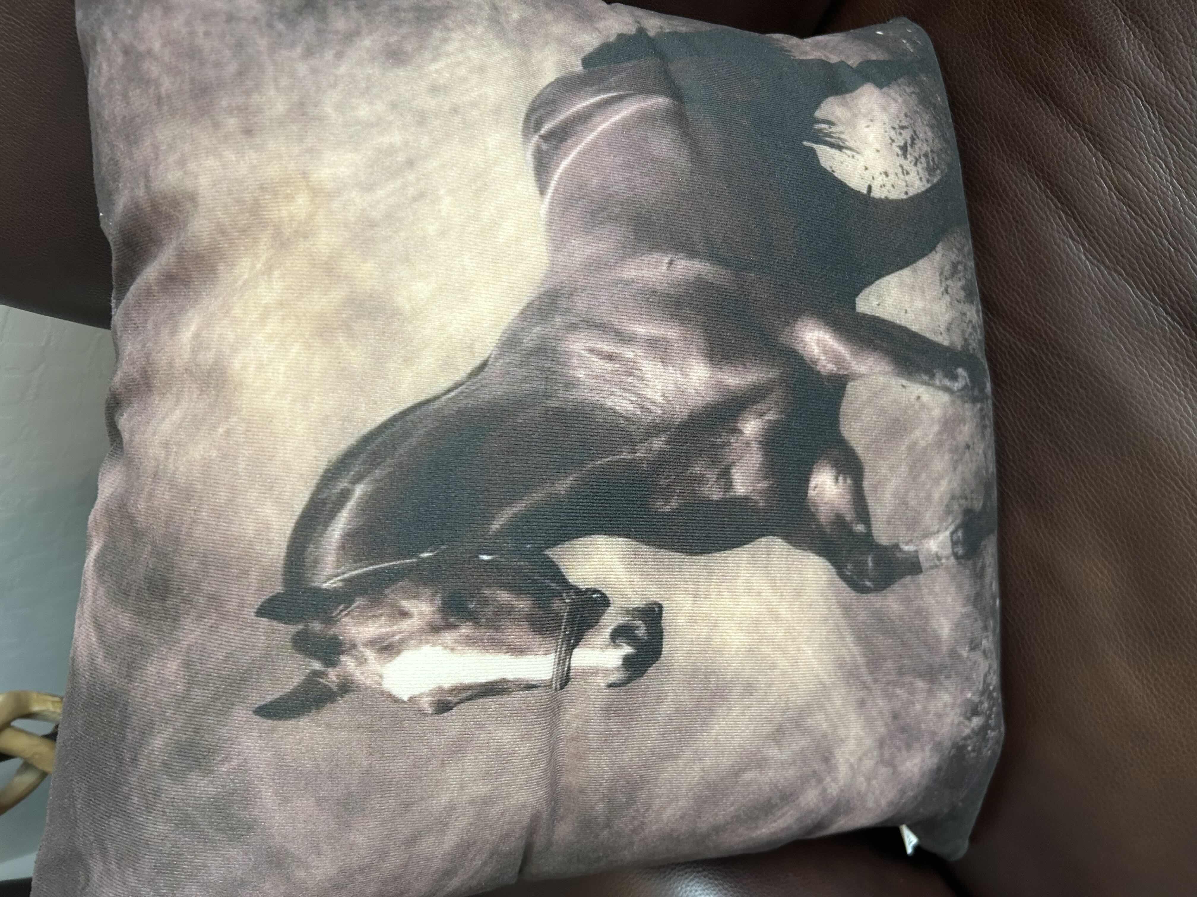 Photo 1 of 3 DECORATIVE HORSE PILLOWS AND KODIAK BROWN FURRY THROW