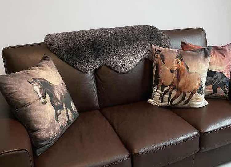 Photo 1 of 3 DECORATIVE HORSE PILLOWS AND KODIAK BROWN FURRY THROW