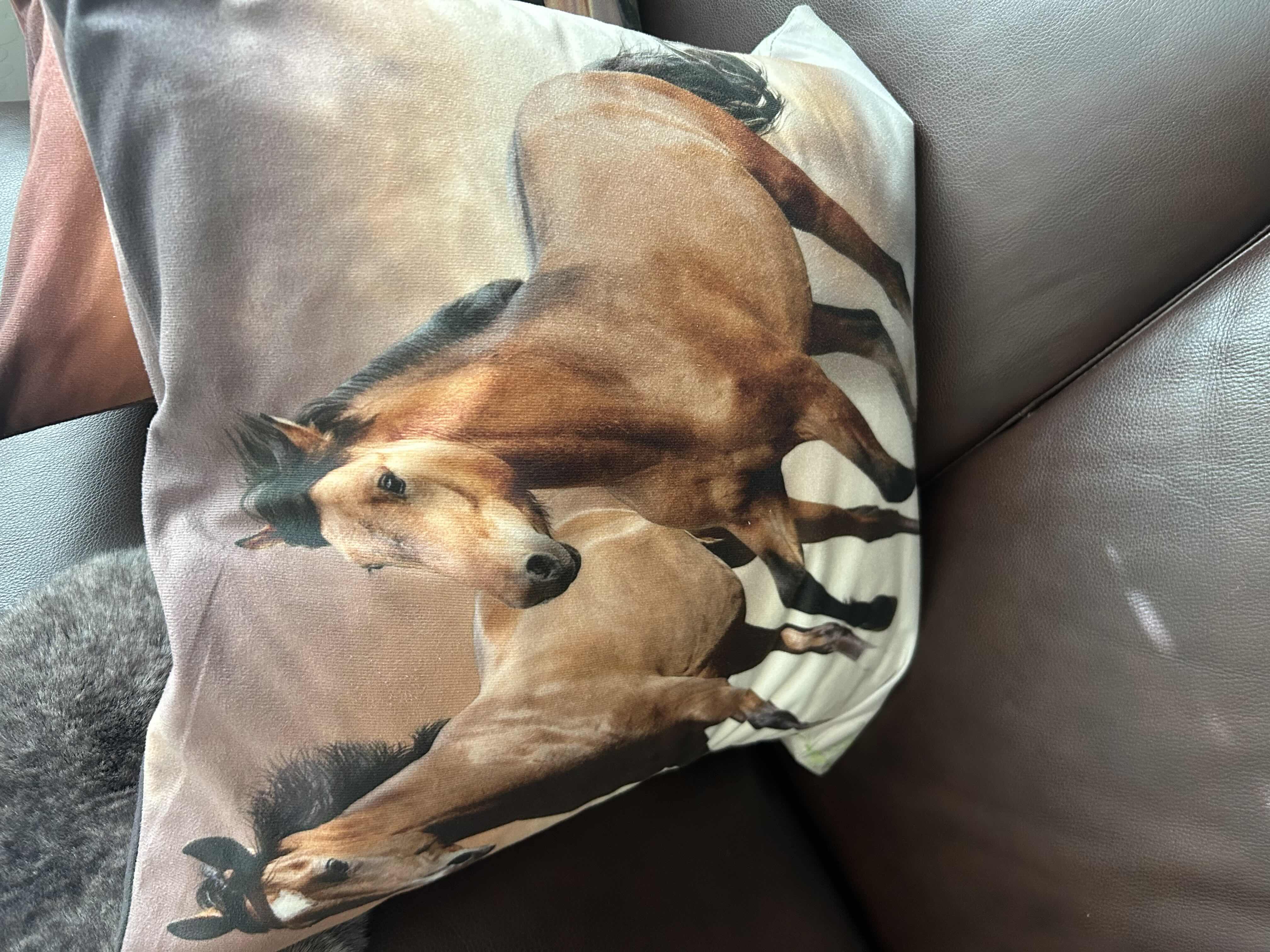 Photo 1 of 3 DECORATIVE HORSE PILLOWS AND KODIAK BROWN FURRY THROW