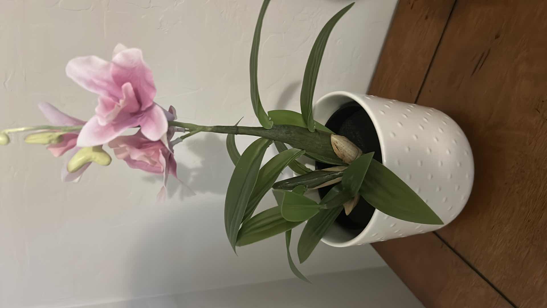 Photo 1 of 3 DECORATIVE PINK WHITE SMALL LANTERN FAUX PLANT HEART VASE