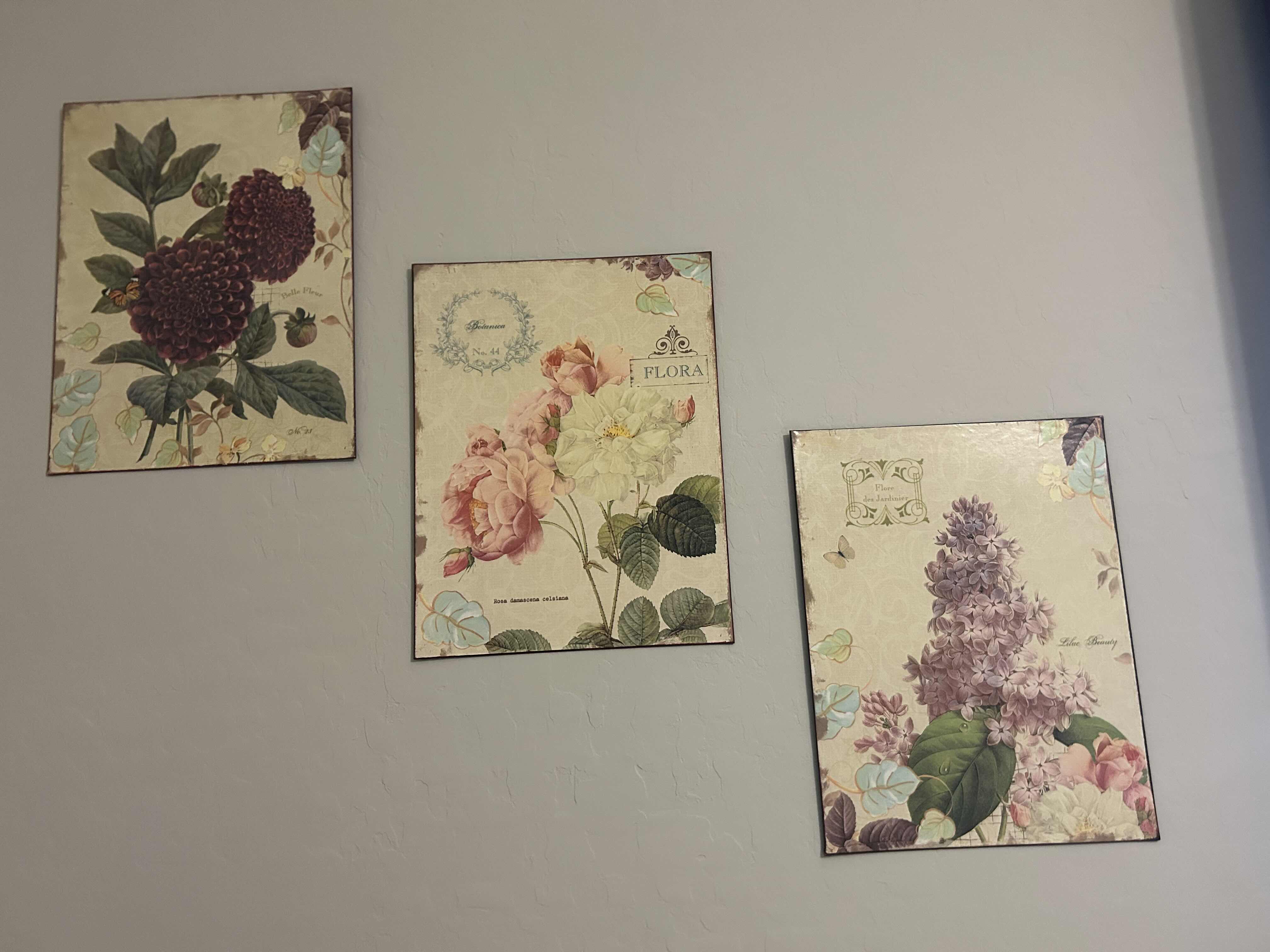 Photo 1 of 3 METAL VINTAGE STYLE BOTANICAL PRINTS 10" X 13"