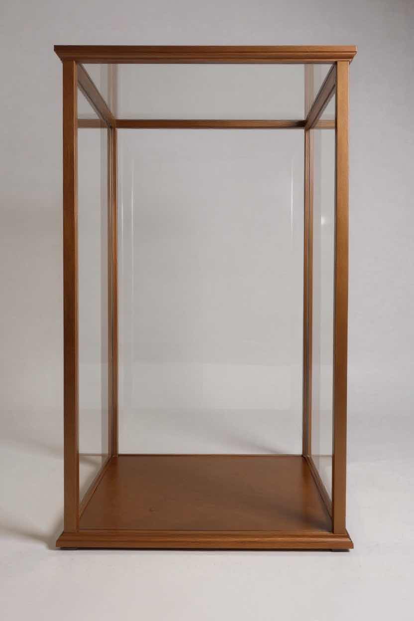 Photo 1 of WOODEN PLASTIC CURIO BOX 12"X 24"