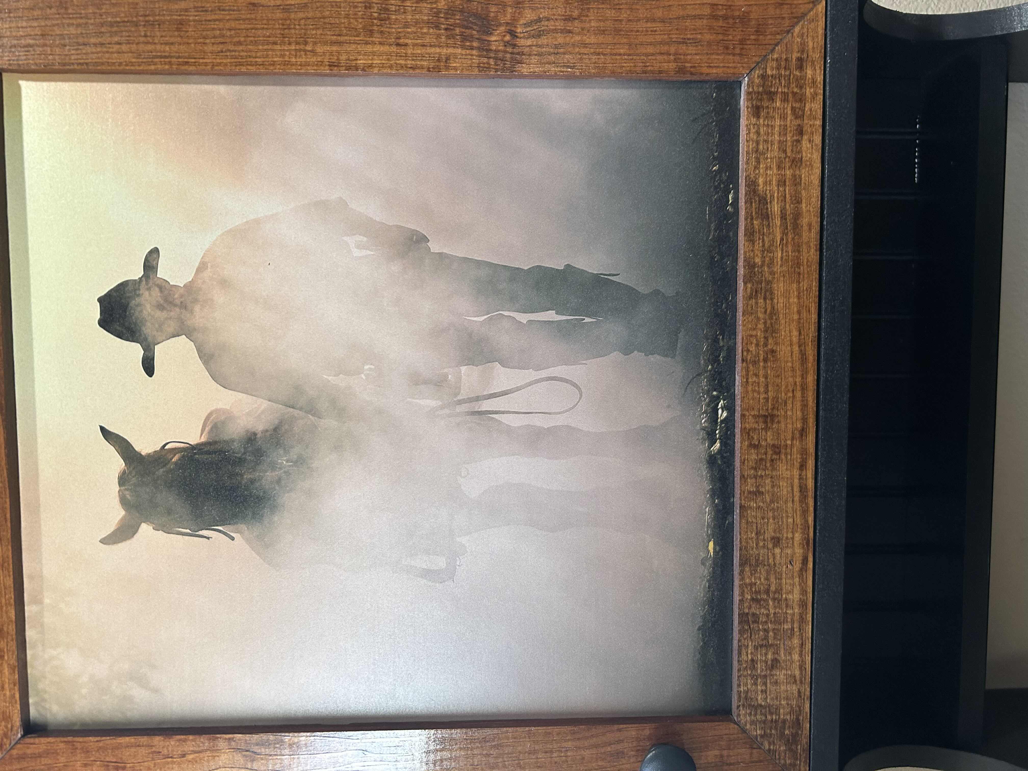 Photo 1 of COWBOY DREAMS WOOD WALL CABINET 24" X 7 " H 35"