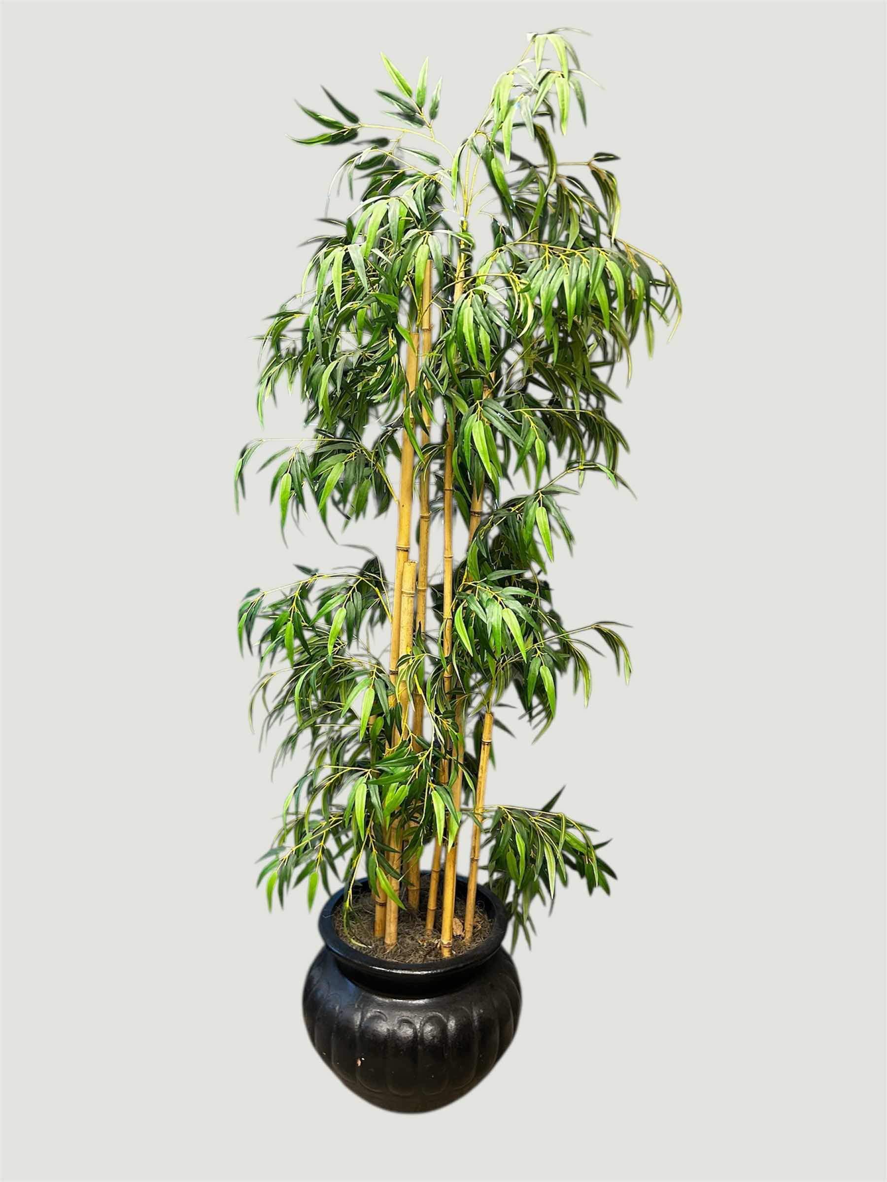 Photo 1 of ARTIFICIAL BAMBOO TREE IN BLACK RESIN POT H 81"