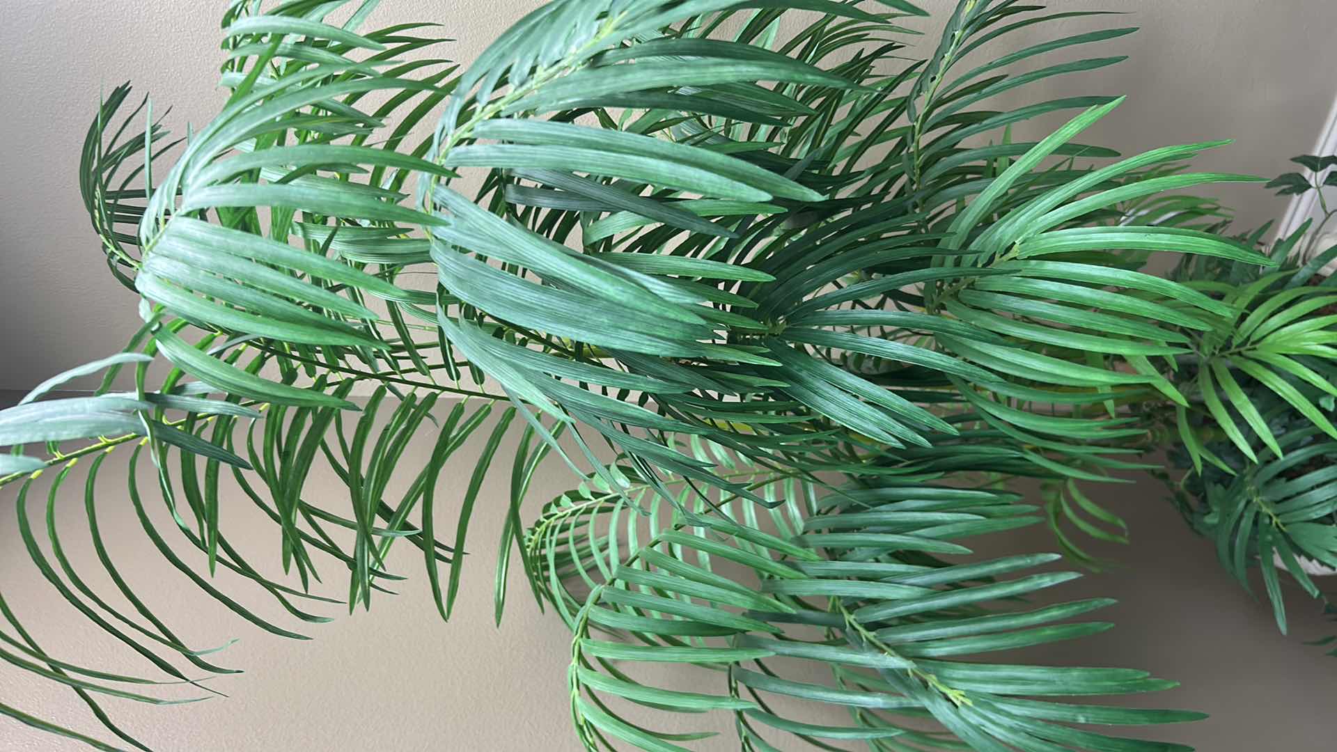 Photo 1 of ARTIFICIAL KENTIA PALM  IN A RESIN DECORATED URN H 75"