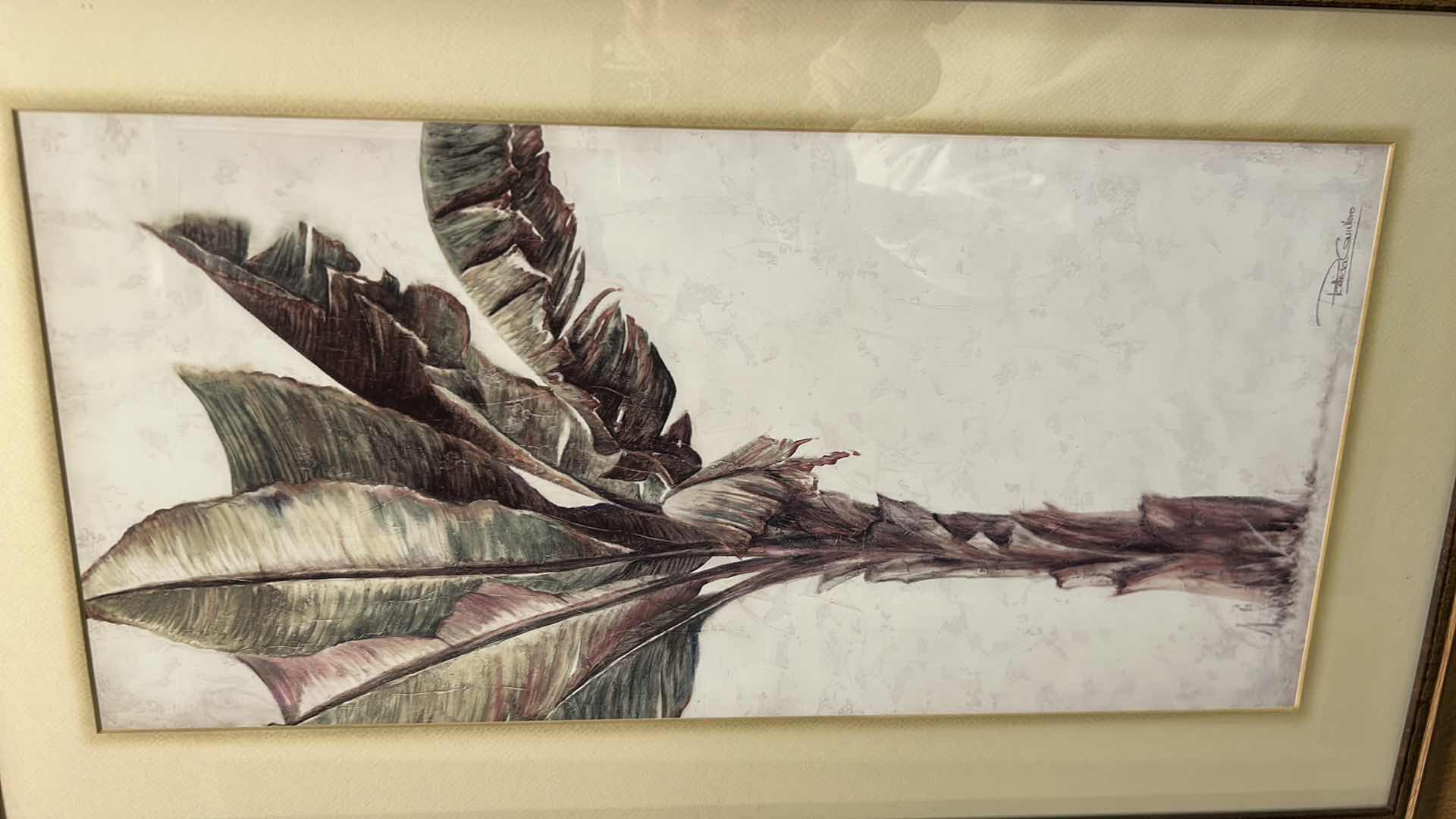 Photo 1 of WOOD FRAMED ART PRINT " TROPIC BANANA I" 18" X 32"