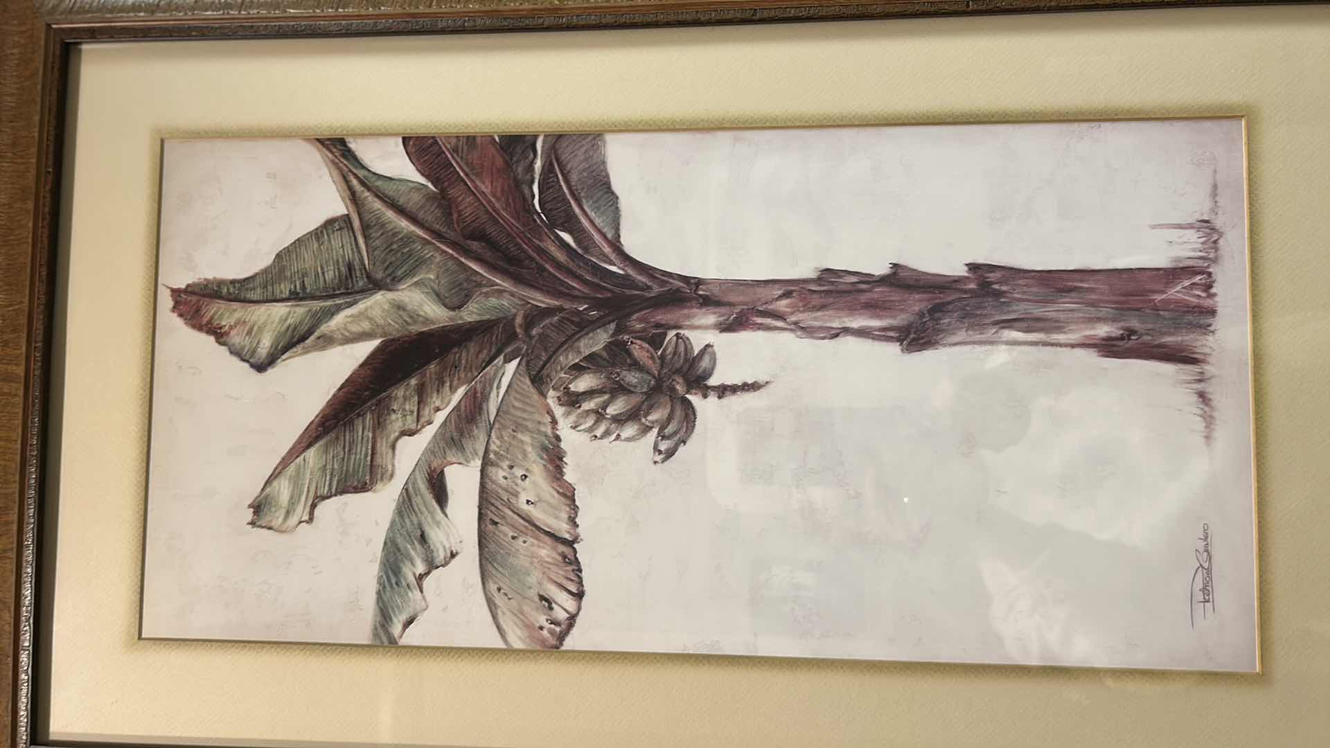 Photo 1 of WOOD FRAMED ART PRINT " TROPIC BANANA II" 18" X 32"