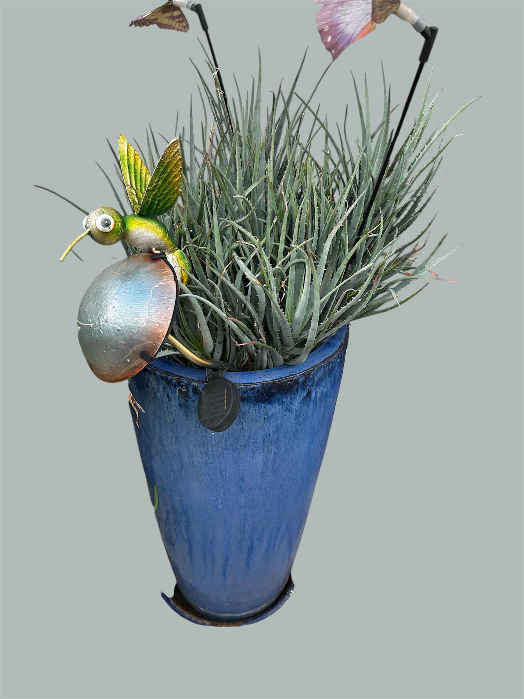Photo 1 of BLUE CERAMIC POT W AIR PLANT H 39"