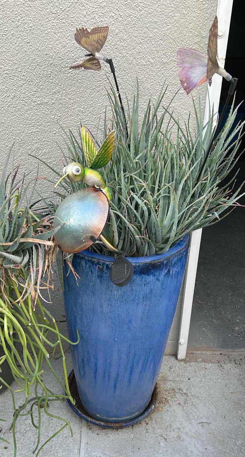 Photo 1 of BLUE CERAMIC POT W AIR PLANT H 39"