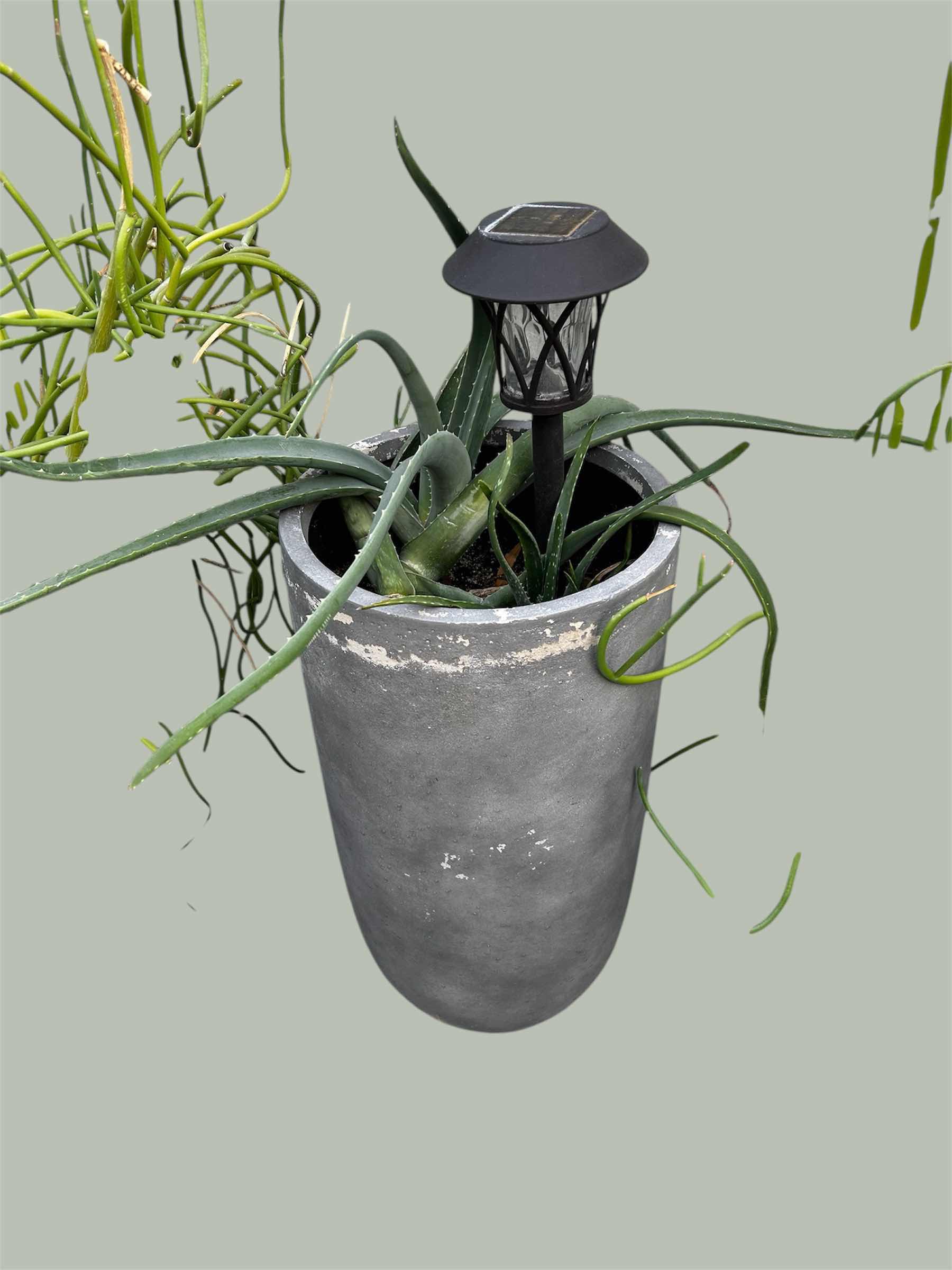 Photo 1 of GREY PLASTER POT W CACTUS H 28"