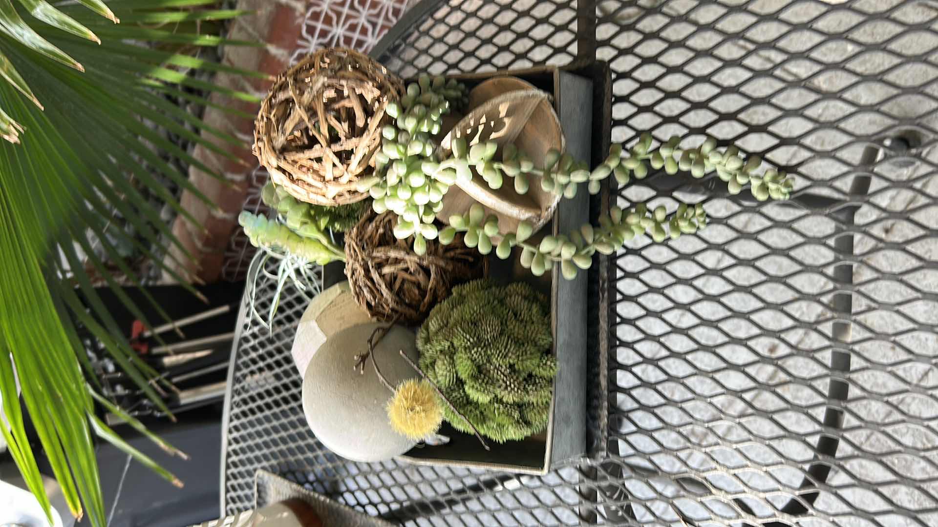 Photo 1 of FAUX PLANTS