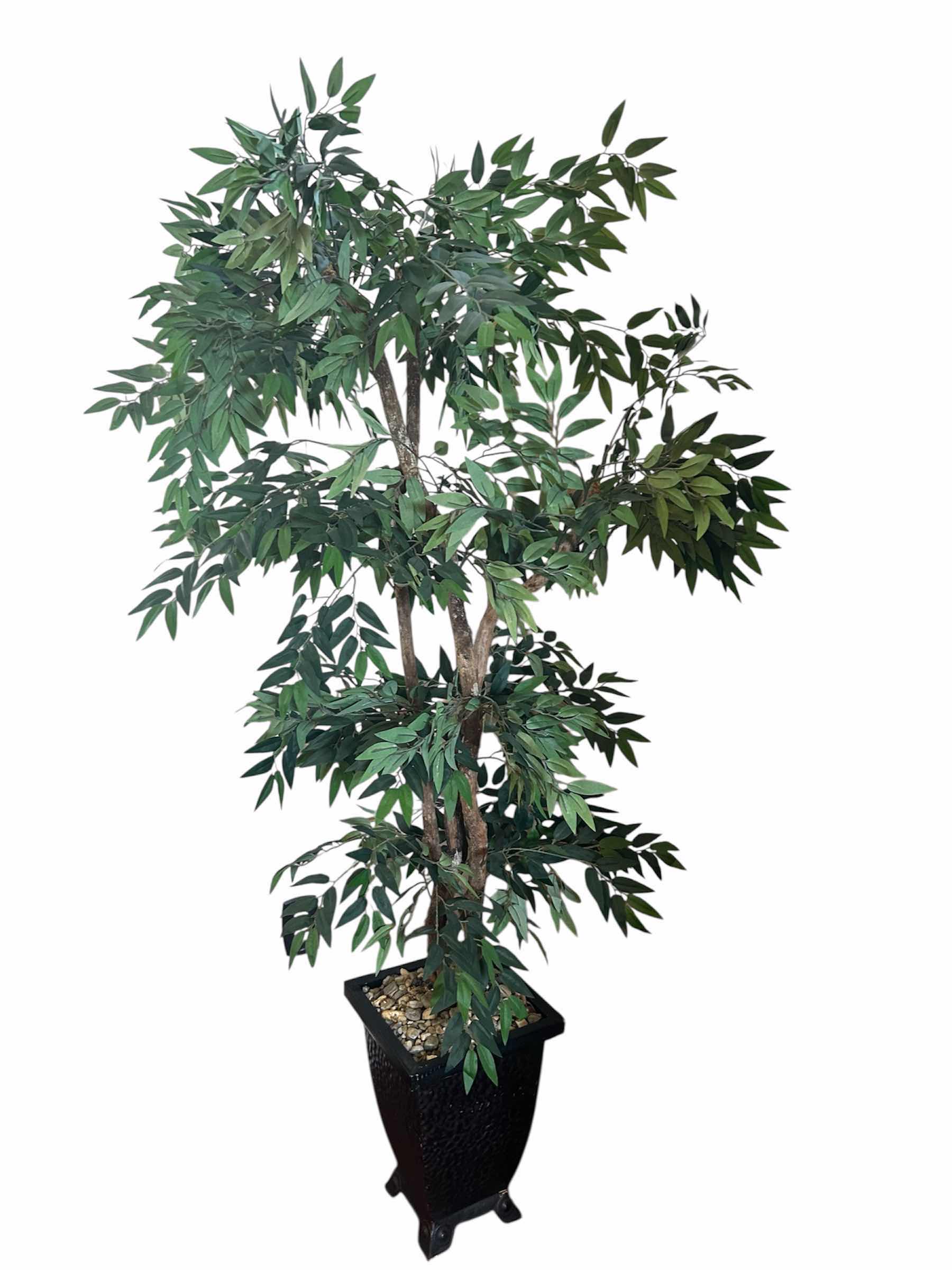 Photo 1 of SMILAX TREE IN BLACK CONTAINER H 76"