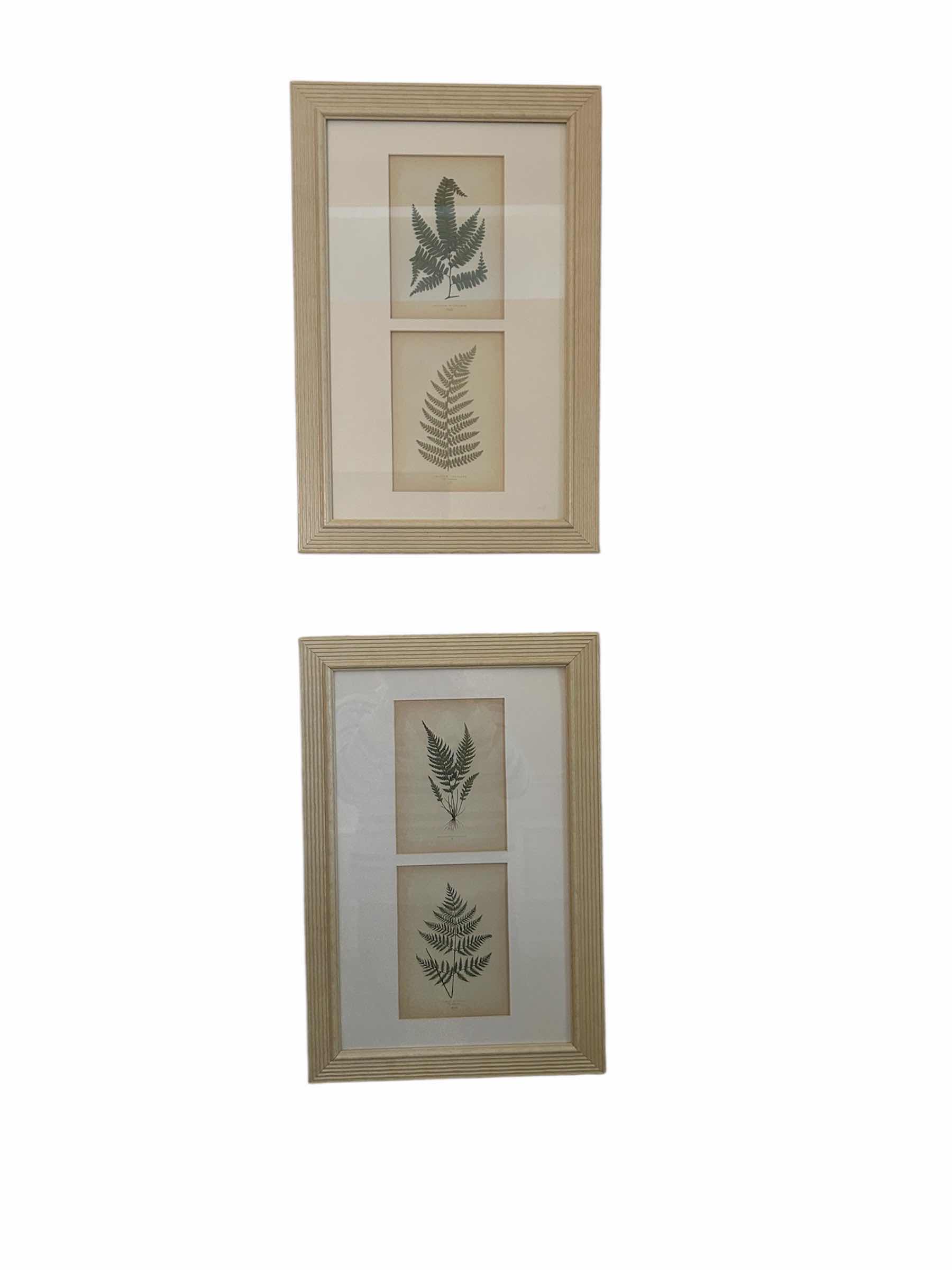 Photo 1 of 2-FRAMED BOTANICAL FERN PRINTS WALL ART 12" X 18"