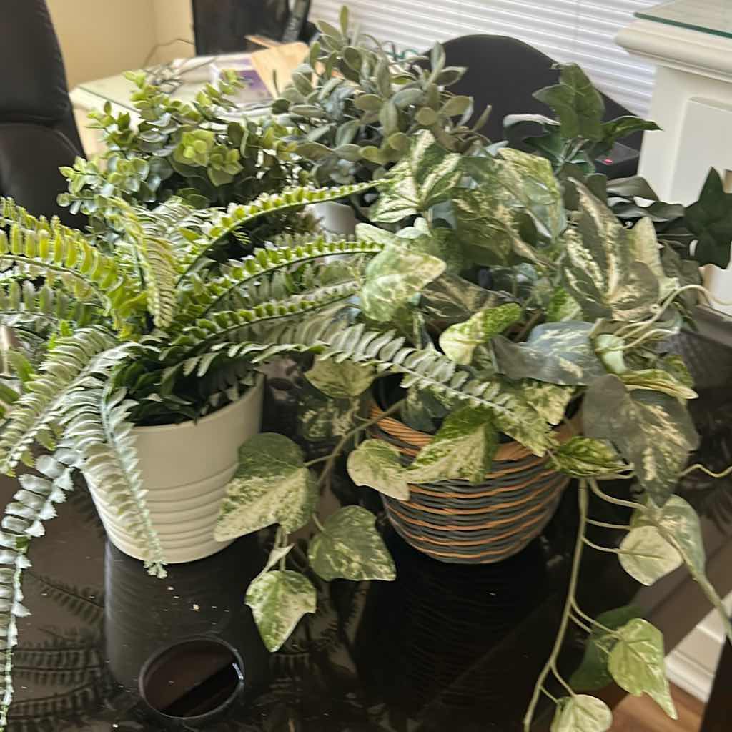 Photo 1 of 5- FAUX PLANTS  IN POTS