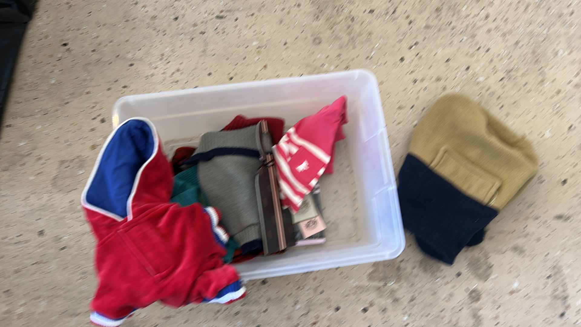 Photo 1 of DOG STROLLER, STAIRS, CLOTHING