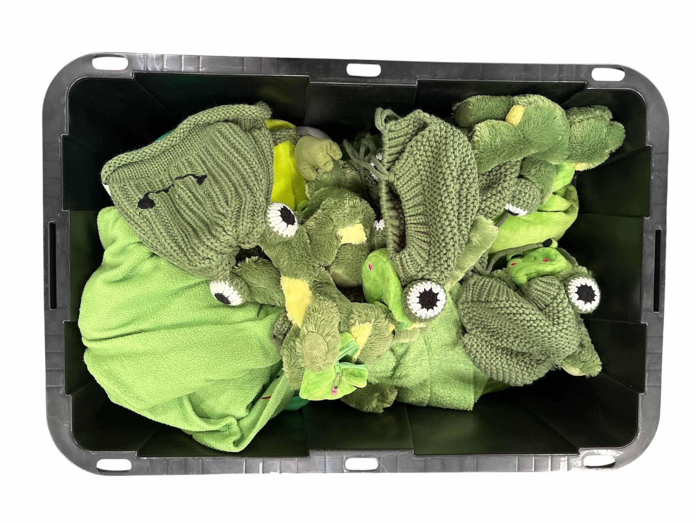 Photo 1 of CONTAINER OF FROG BEANIES AND MORE