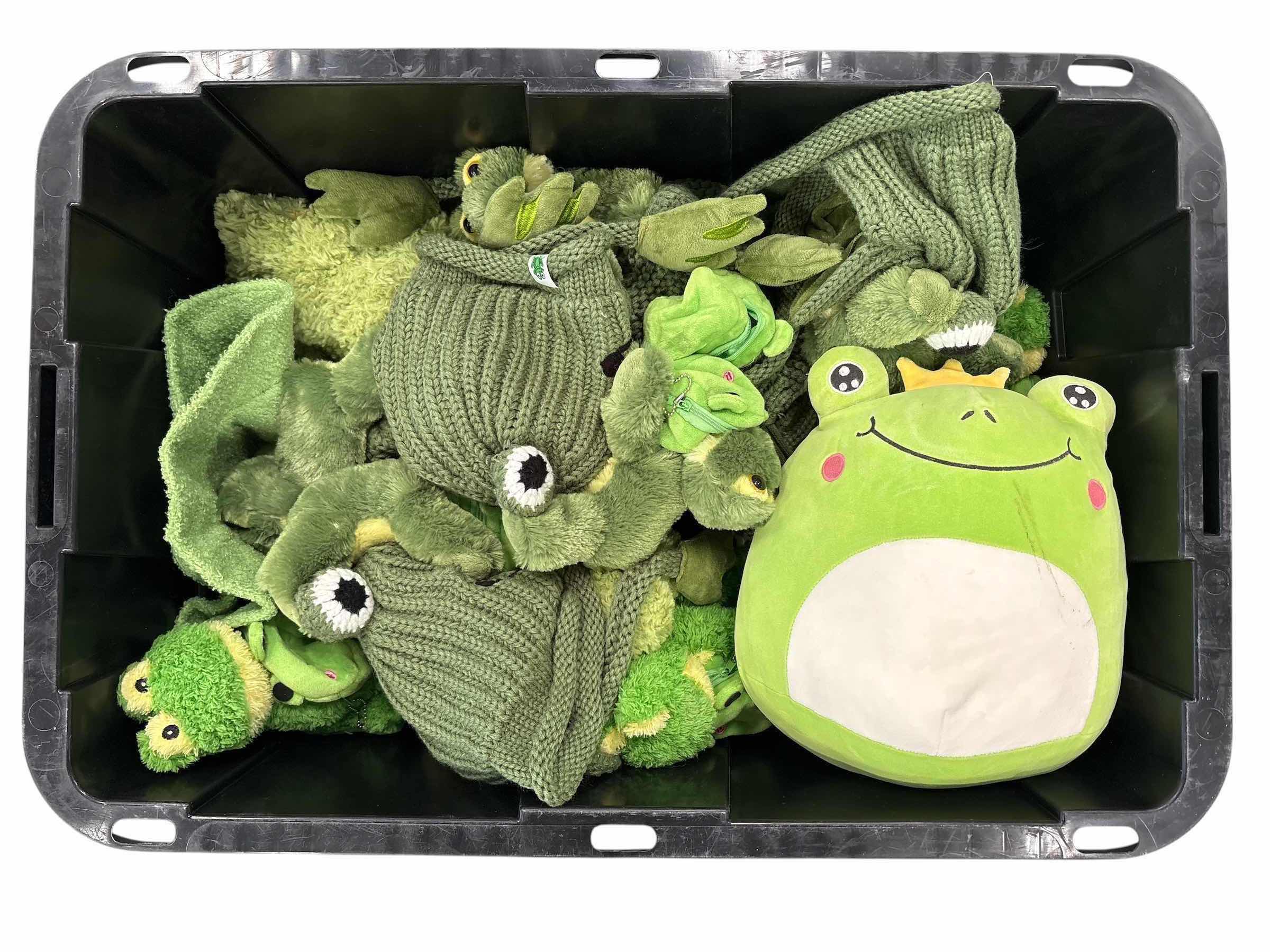 Photo 1 of CONTAINER OF FROG BEANIES AND MORE