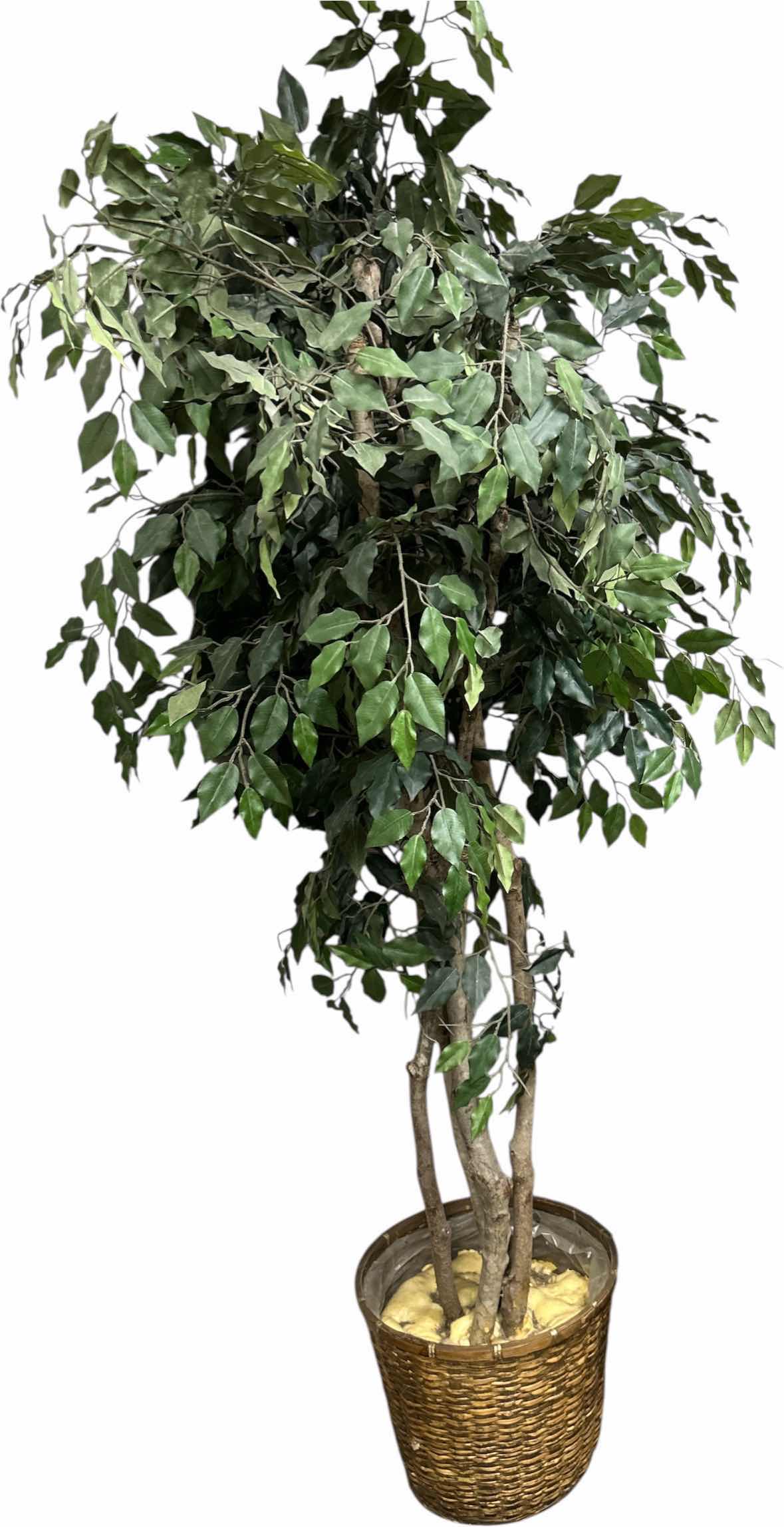 Photo 1 of 7’ FICUS FAUX TREE
