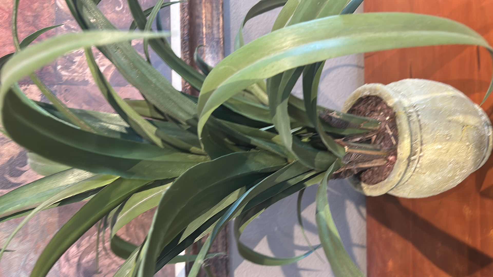 Photo 1 of FAUX PLANT IN RESIN GREEN POT H 29"