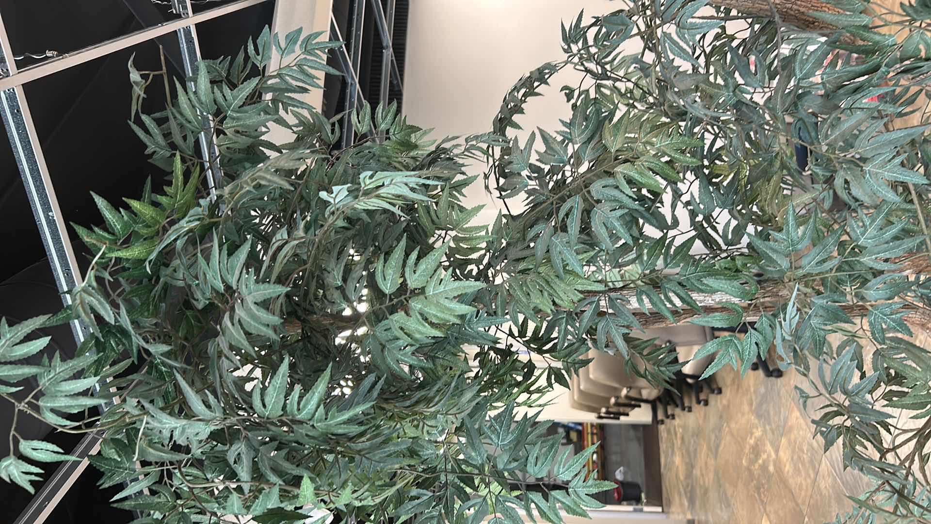 Photo 1 of 6.5' FAUX FICUS TREE IN RATTAN BASKET 