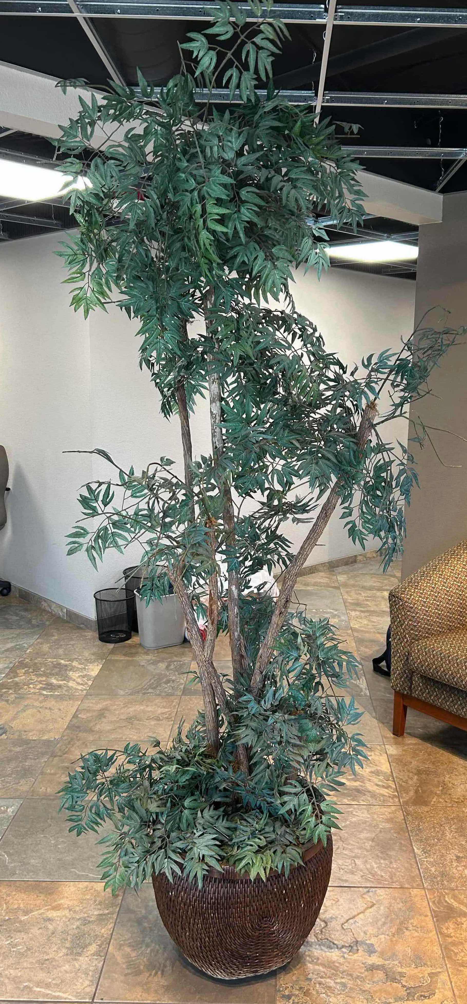 Photo 1 of 6.5' FAUX FICUS TREE IN RATTAN BASKET 
