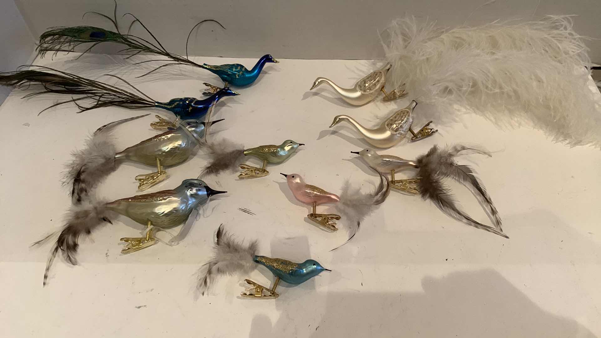 Photo 1 of BIRD CLIPONS