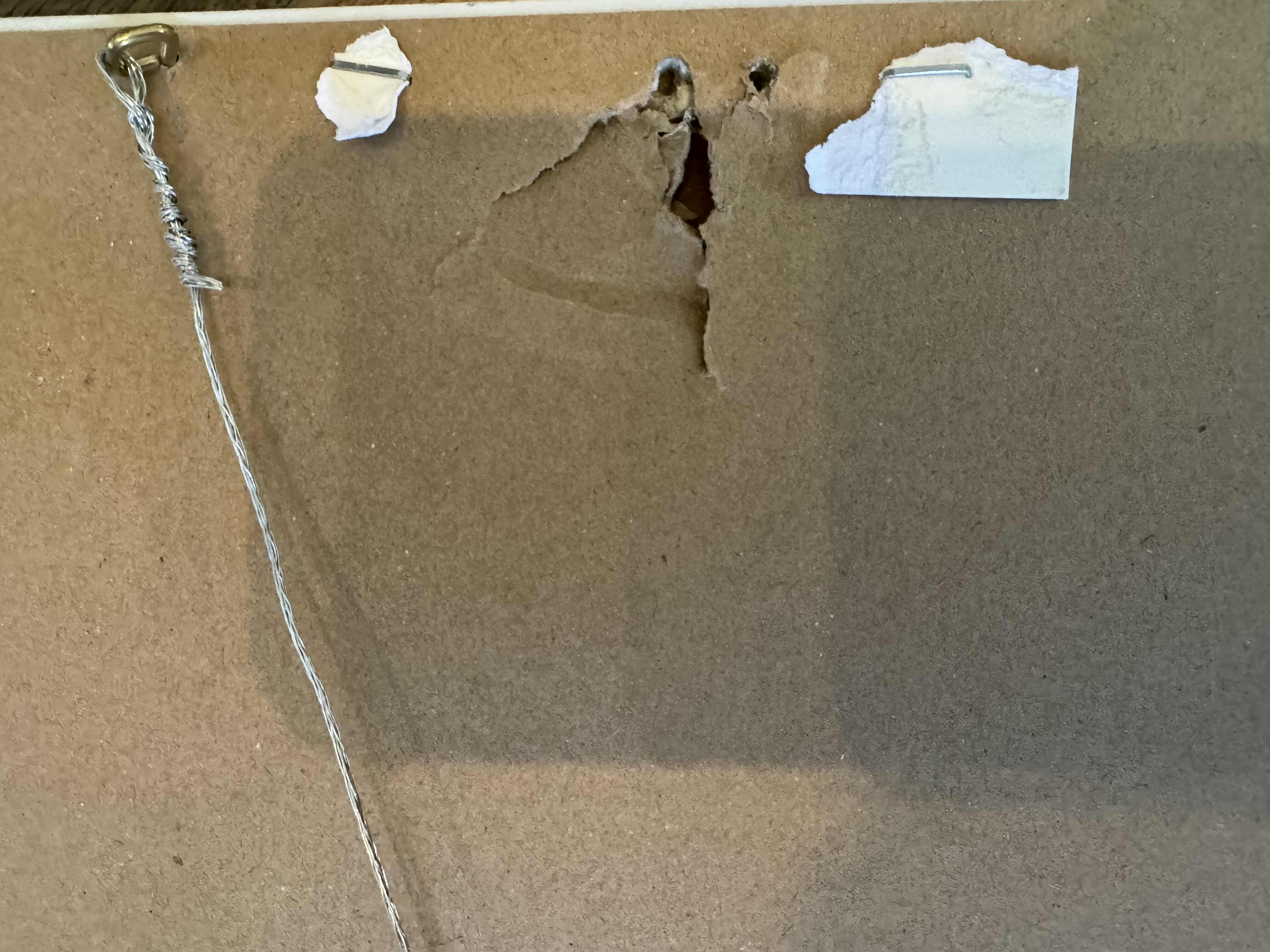 Photo 1 of FRAMED DELICATE SAGE BOTANICAL PAINTING PRINT ARTWORK 23” X 29”