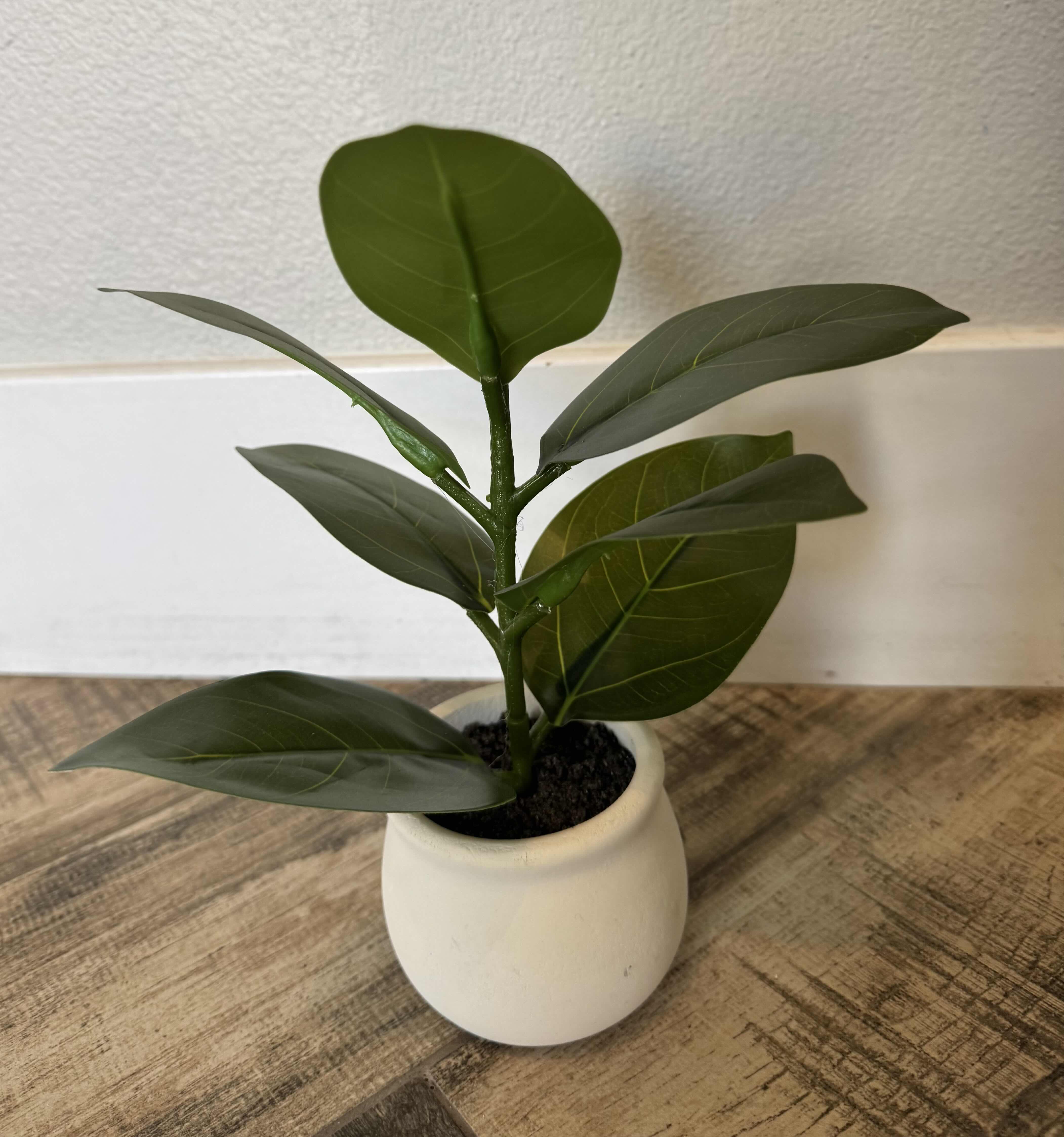 Photo 1 of FAUX PLANTS, GLASS METAL LANTERN, METAL FROG
