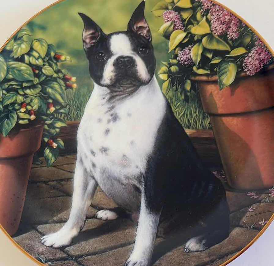 Photo 1 of (4)PCS 8” DAN HATALA BOSTON TERRIER SOUVENIR PLATES
