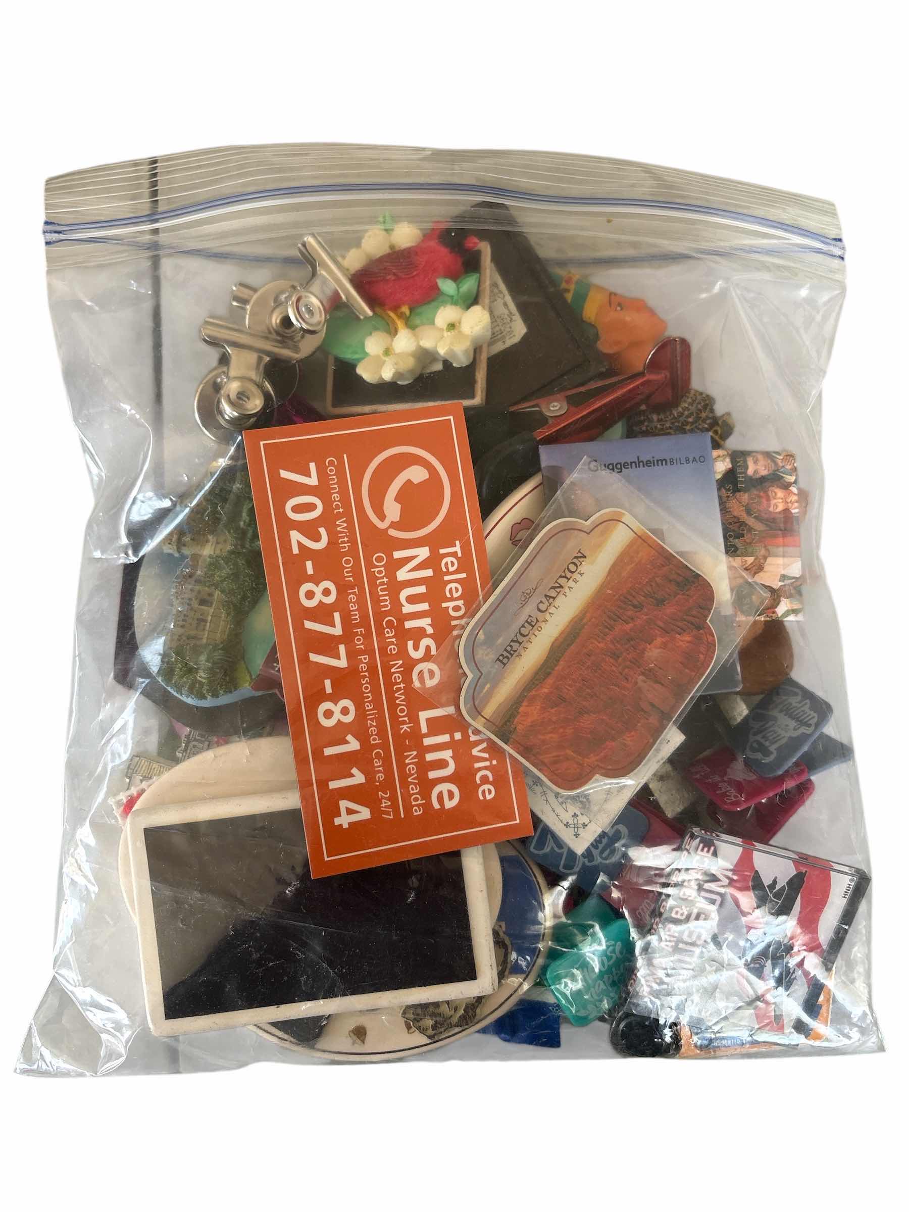 Photo 1 of GALLON BAG OF FRIDGE MAGNETS & CLIPS