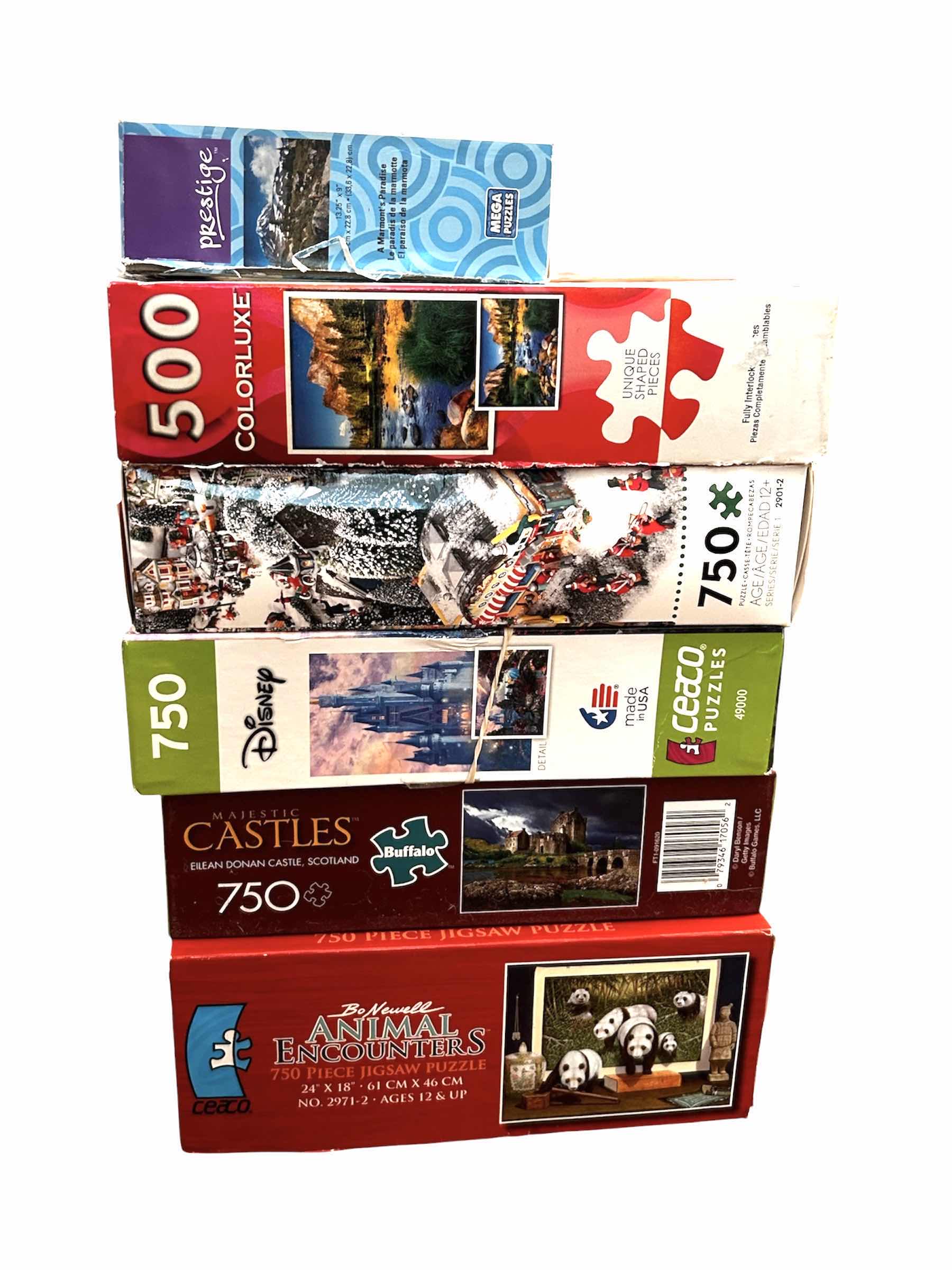 Photo 1 of 6 PUZZLES BY MULTIPLE ARTISTS