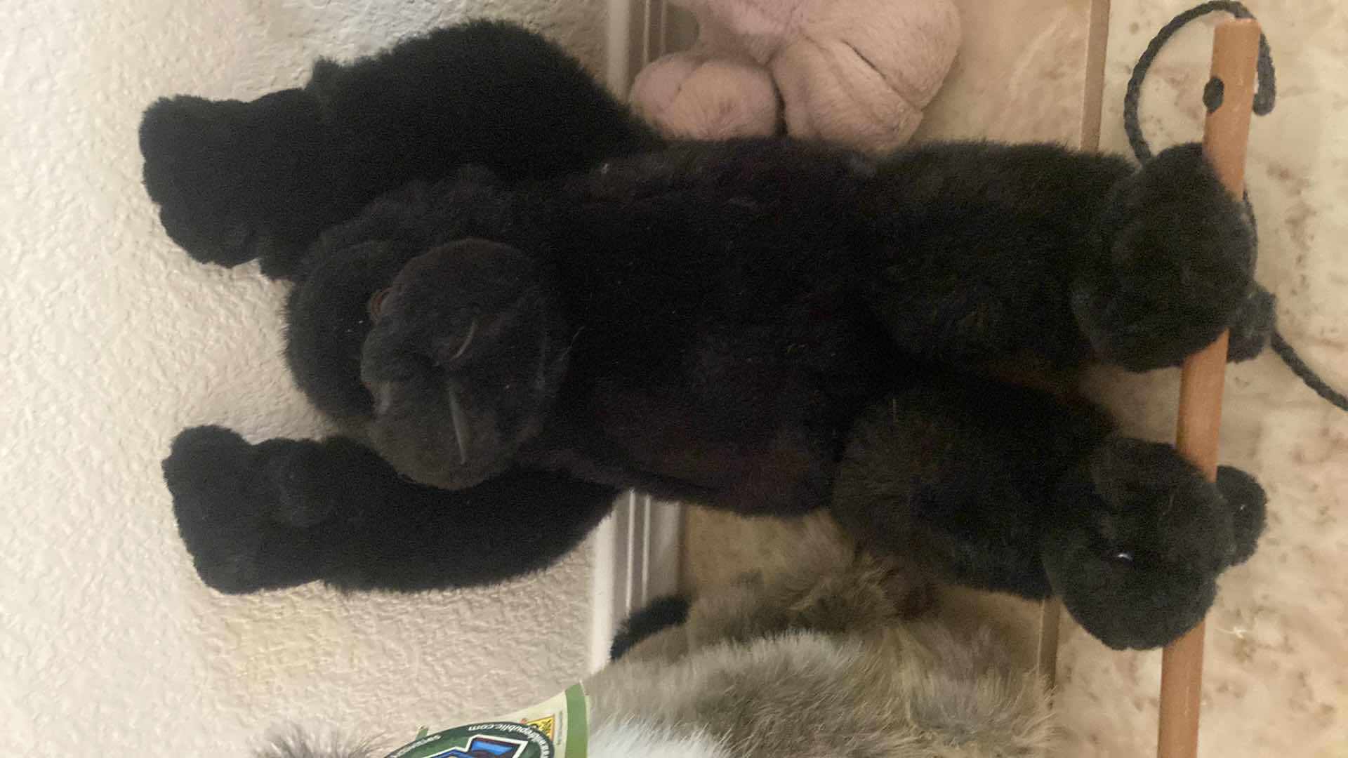 Photo 1 of 3-STUFFED ANIMALS