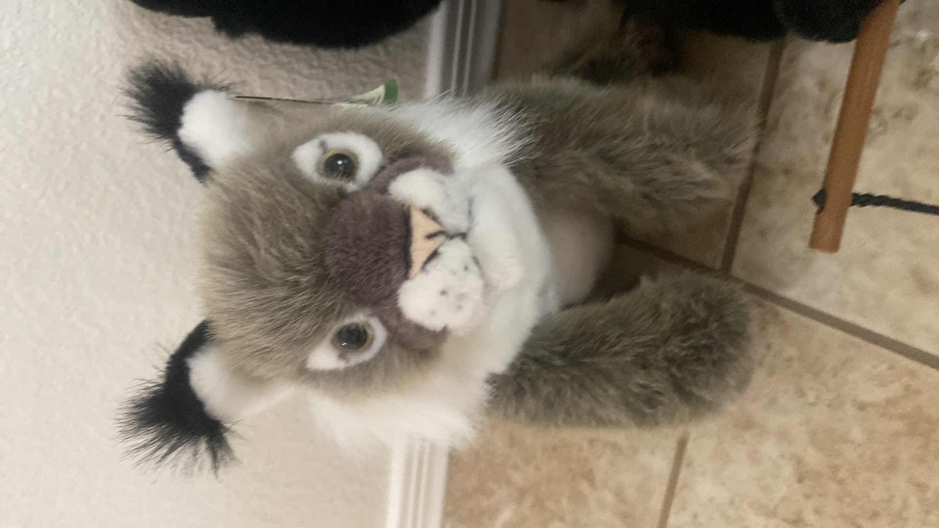 Photo 1 of 3-STUFFED ANIMALS