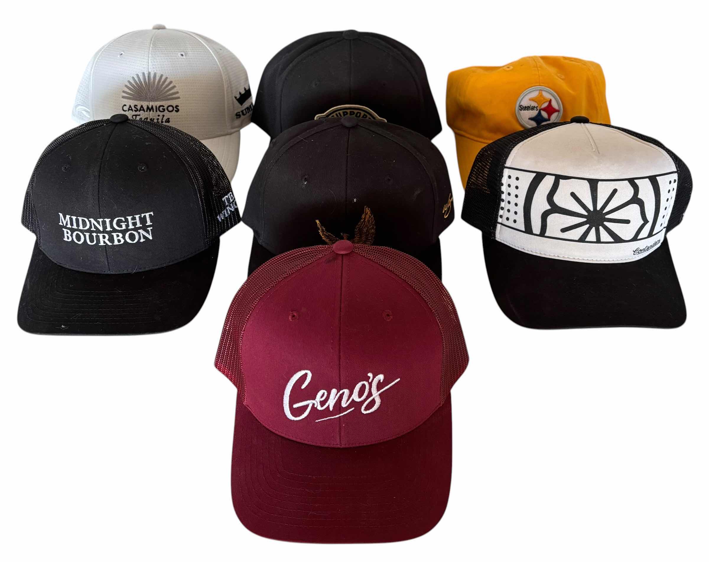 Photo 1 of BALL CAPS (7)