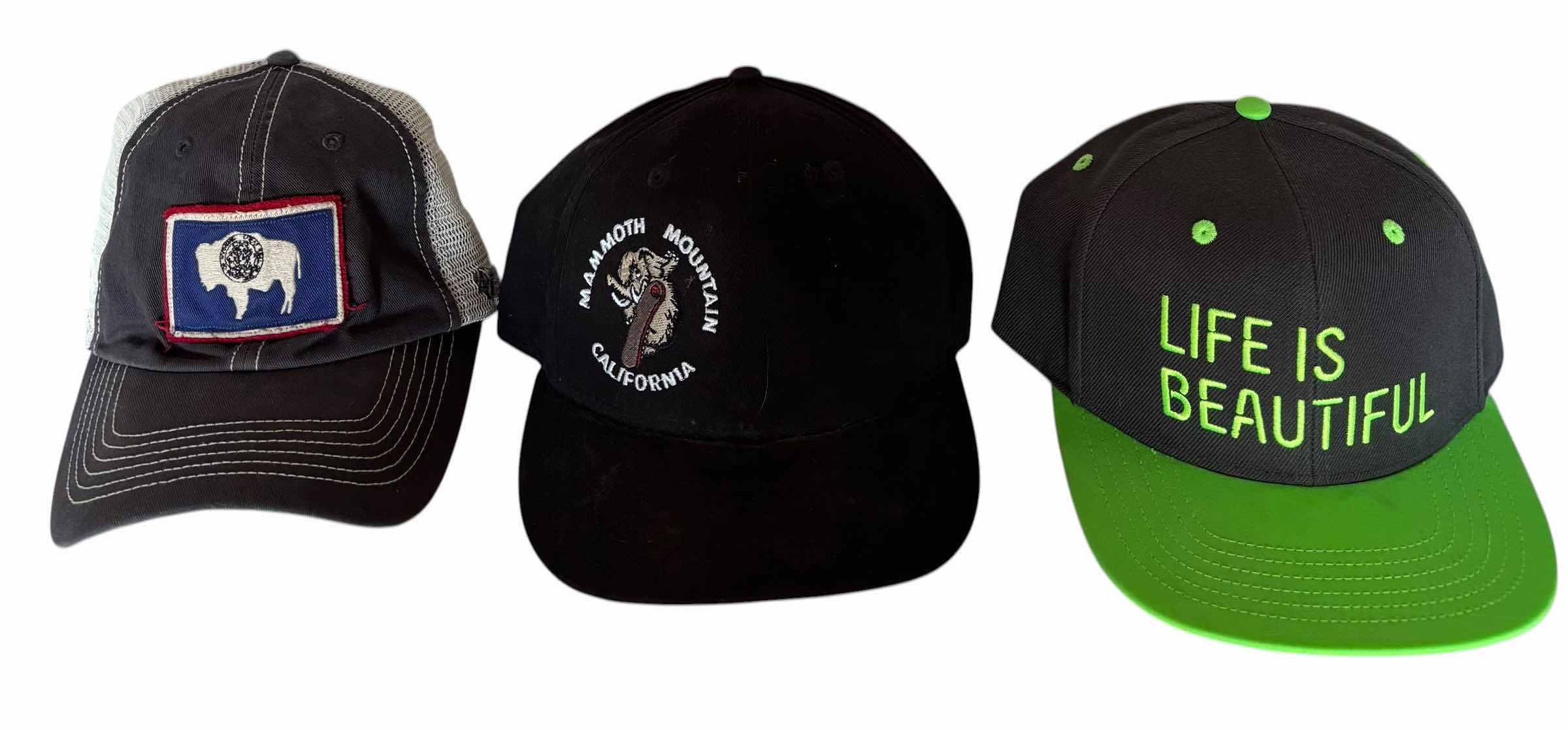 Photo 1 of BALL CAPS (9)