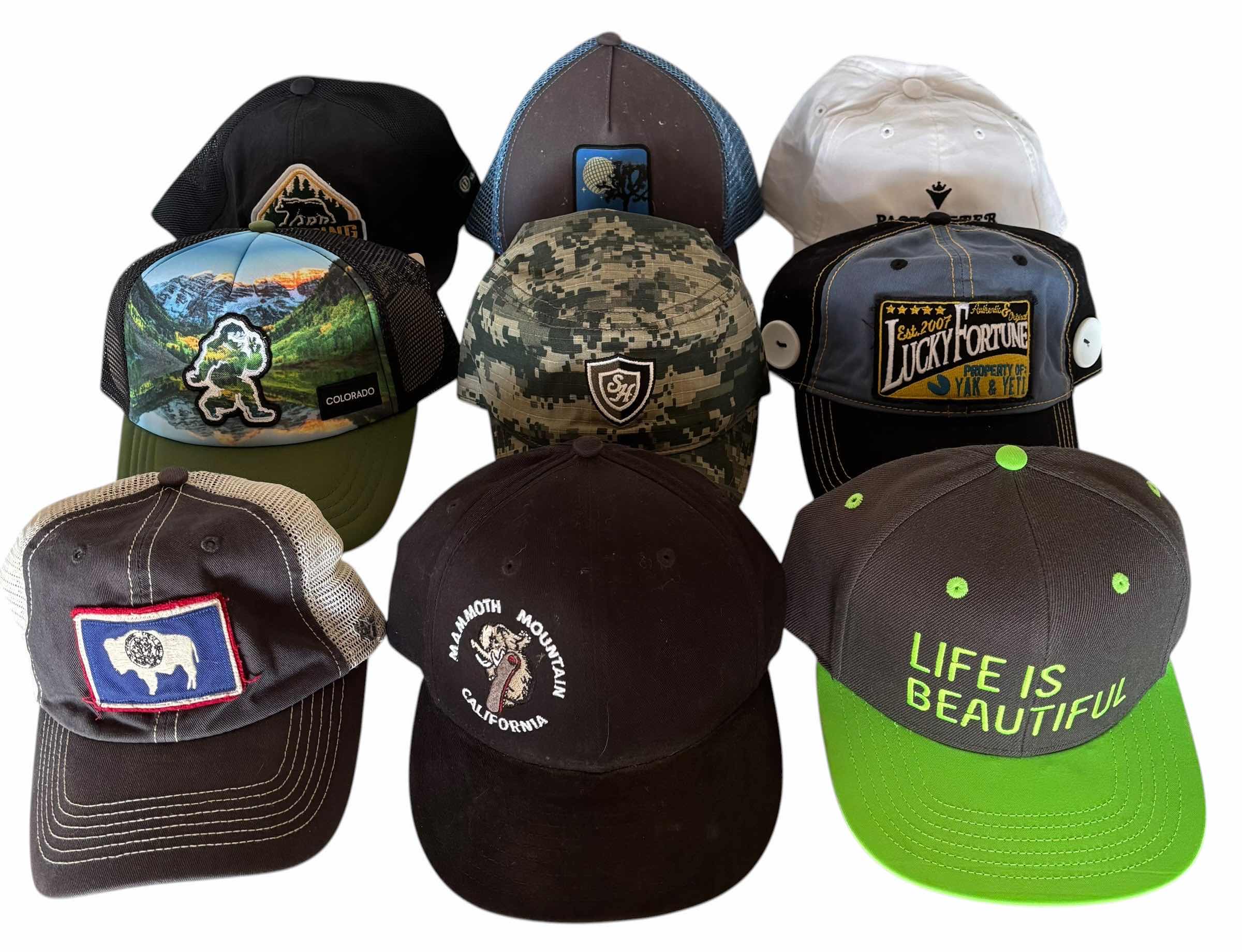 Photo 1 of BALL CAPS (9)