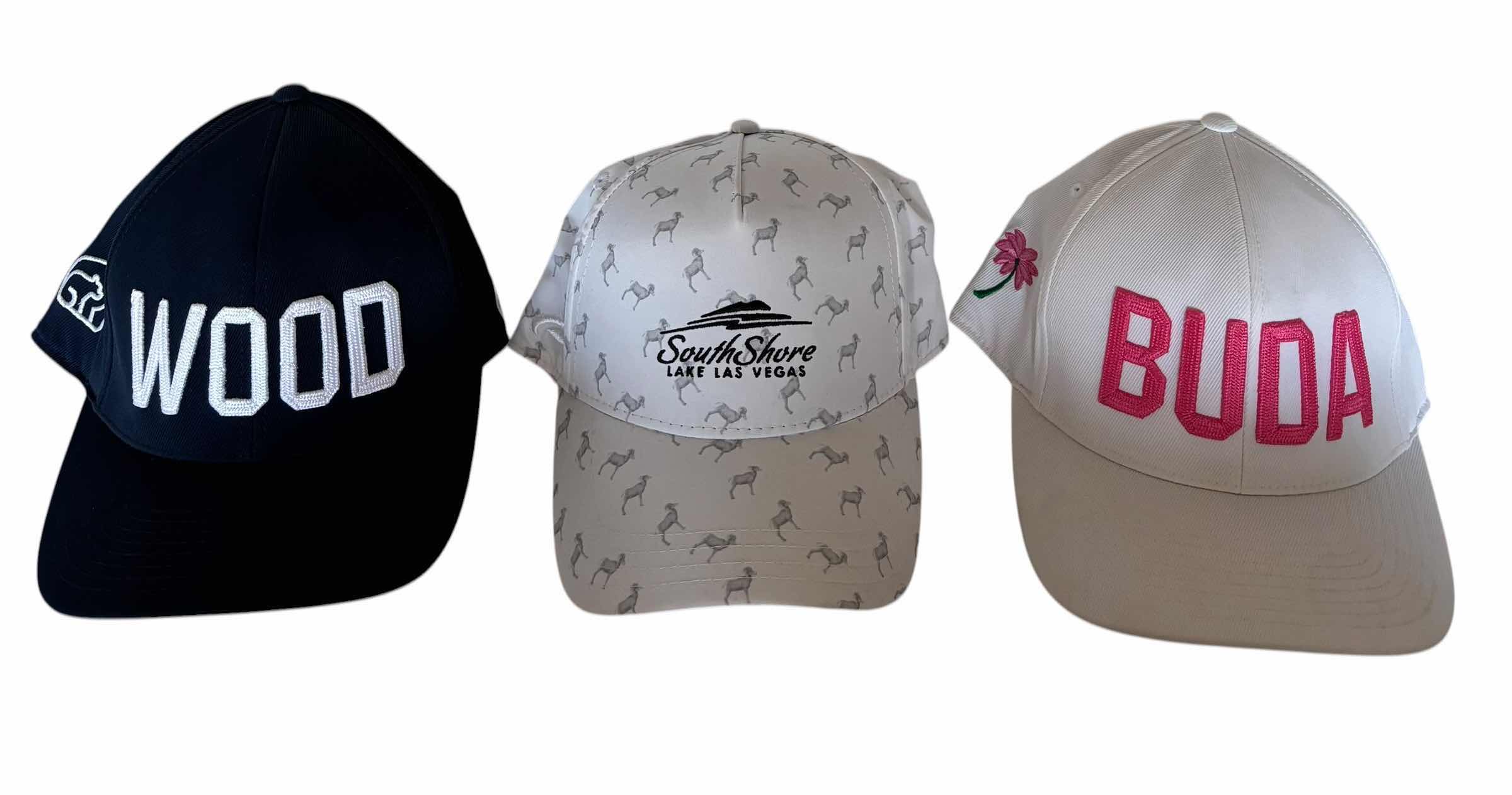 Photo 1 of BALL CAPS (9)