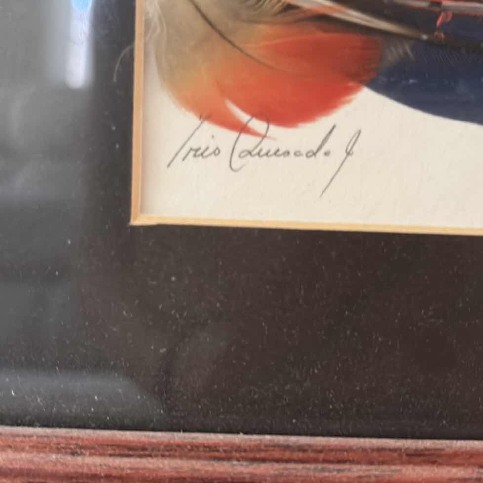 Photo 1 of FRAMED ARTWORK HAND-PAINTED FEATHER FOLK ART, SIGNED & DATED 2000 11”X8”