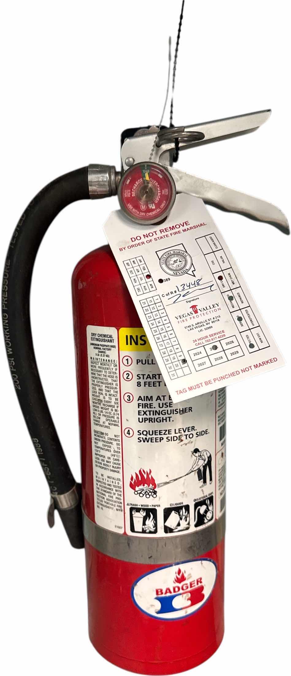 Photo 1 of FIRE EXTINGUISHER BY BADGER
D4.5” X H16”