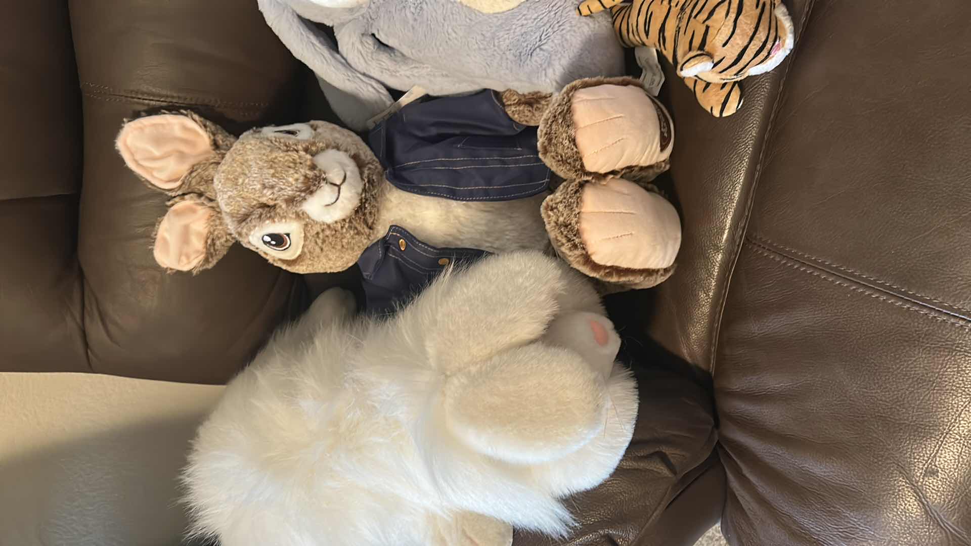 Photo 1 of 6- ASSORTED PLUSH ANIMALS
