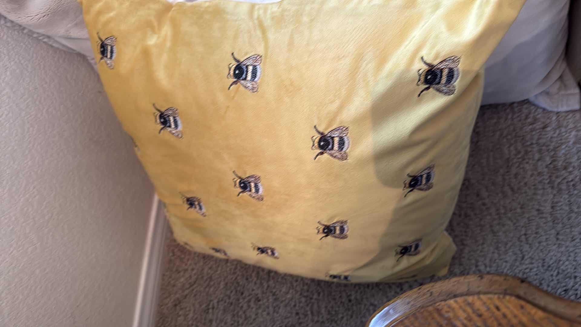 Photo 1 of 9- DECORATIVE PILLOWS