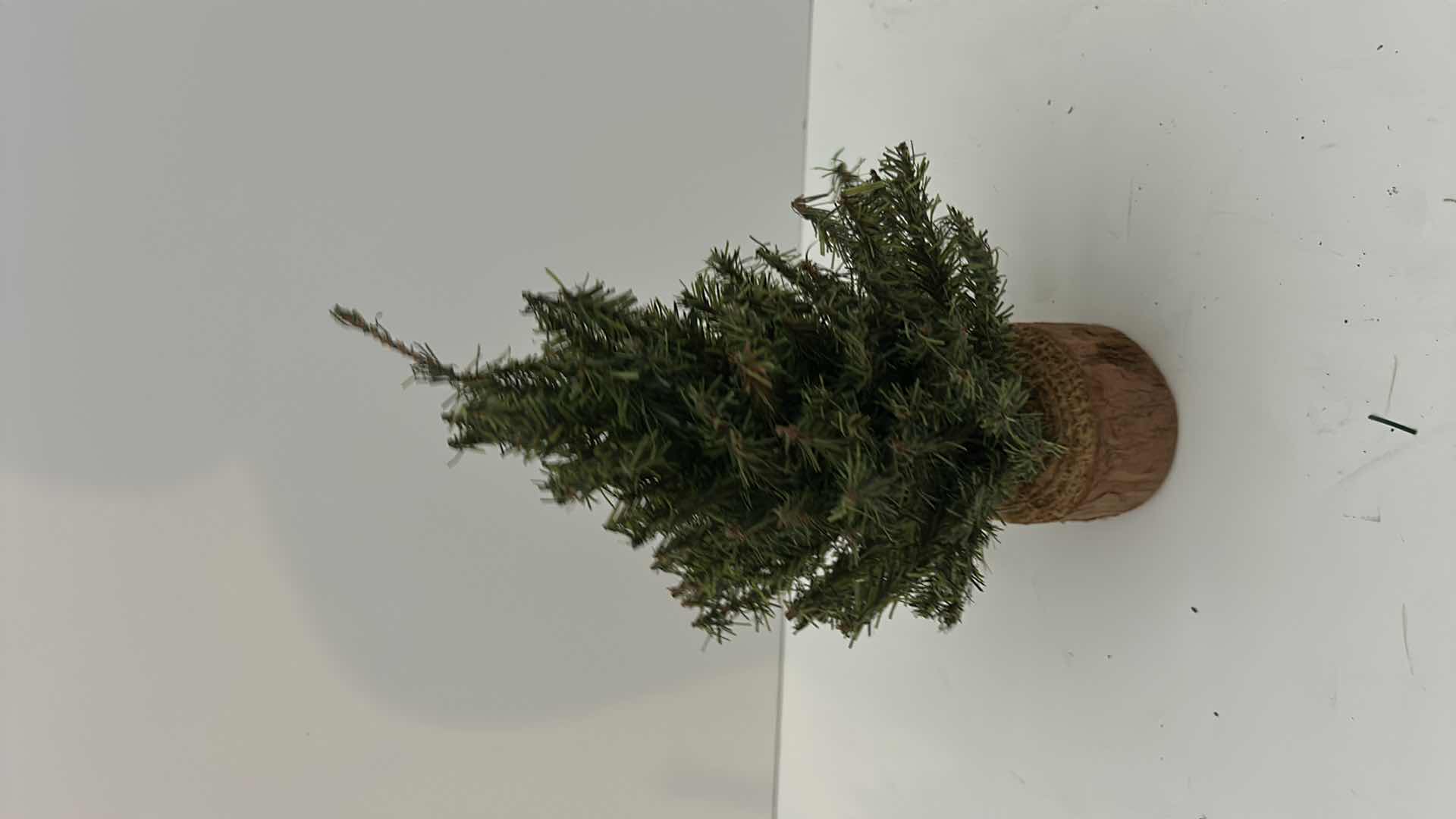 Photo 1 of BOX OF CHRISTMAS DECOR