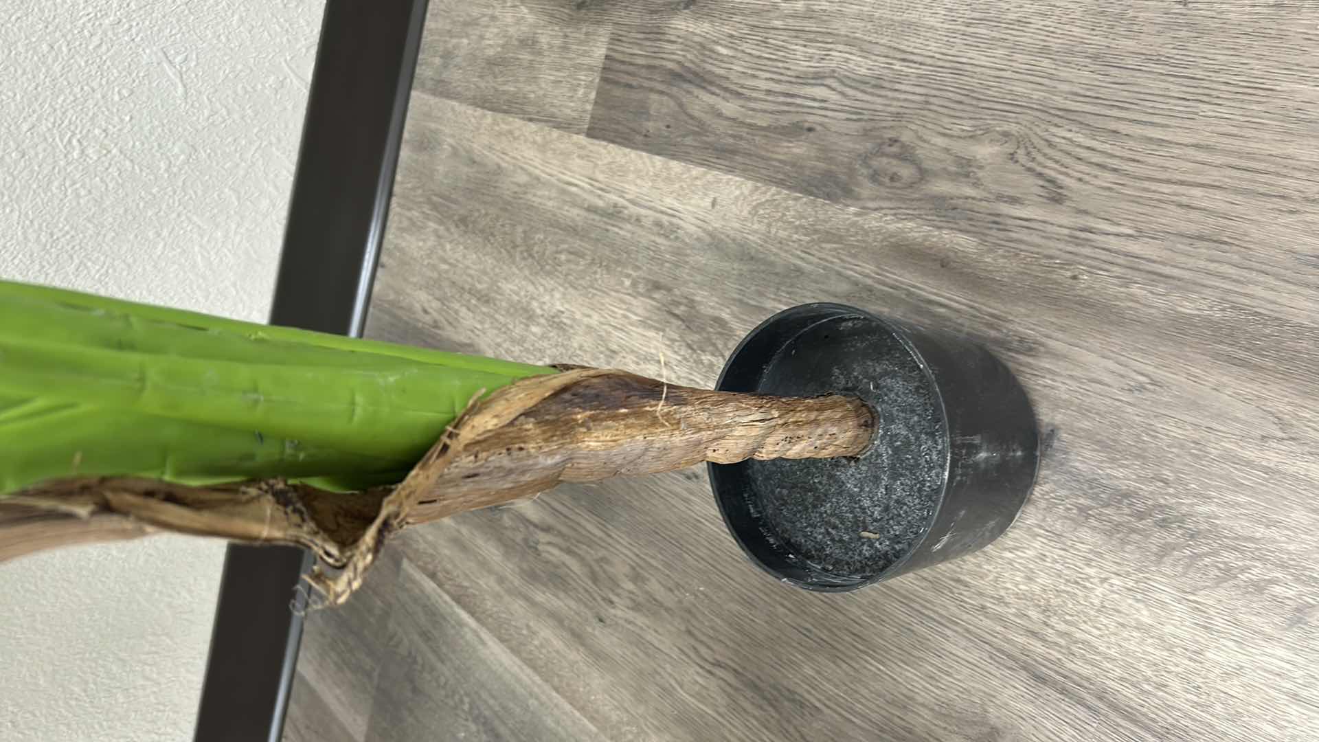 Photo 1 of 4-ARTIFICIAL TRIPLE STALK BANANA TREE H 48"