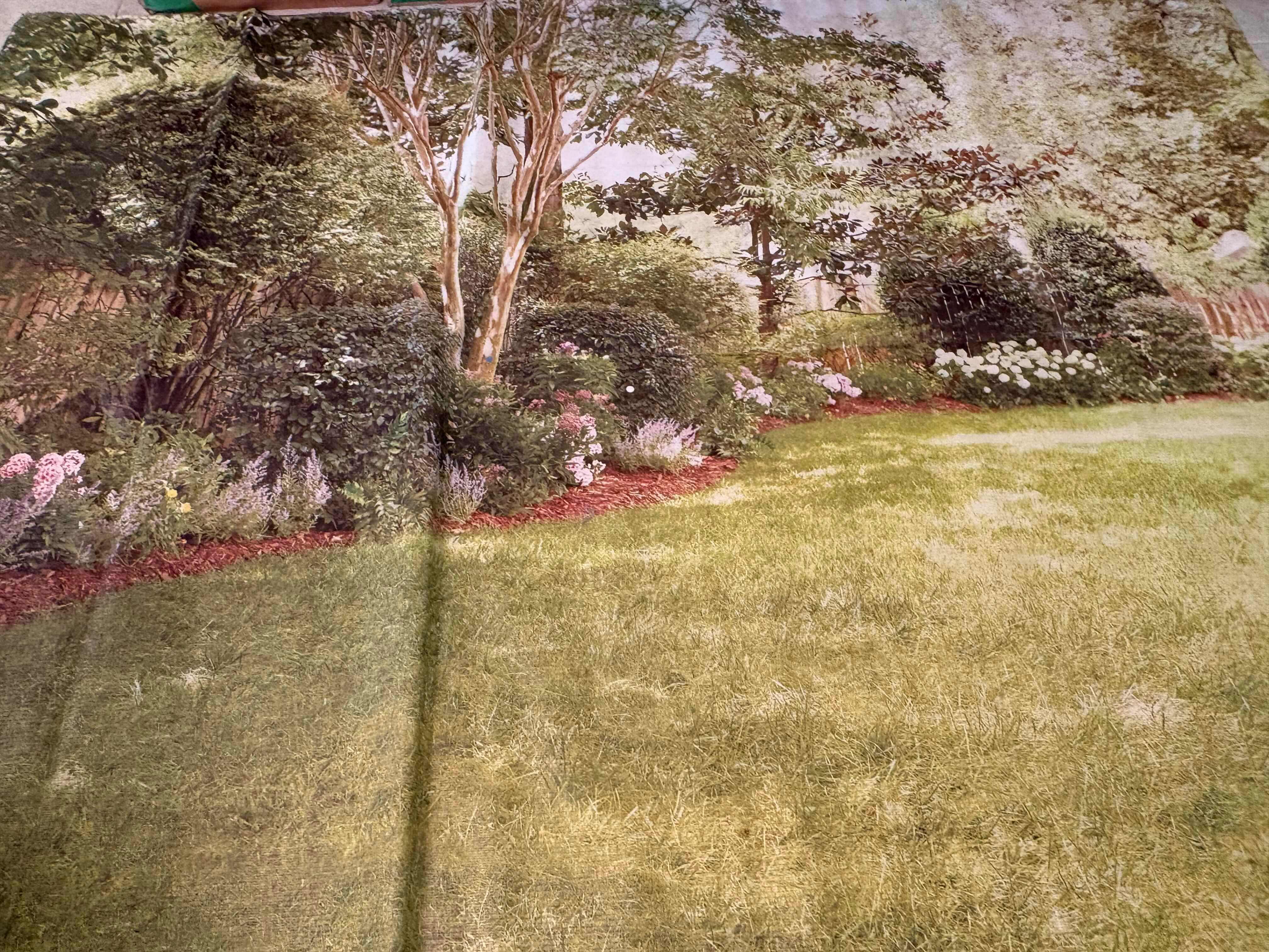 Photo 1 of NEW PATIO BACKDROP 7’X9’