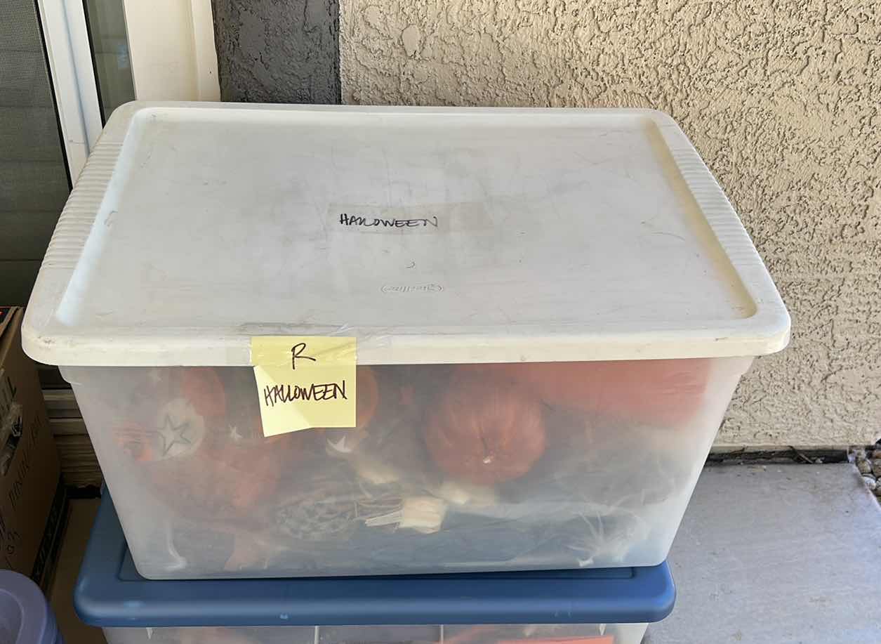 Photo 1 of TOTE FULL OF HALLOWEEN DECOR