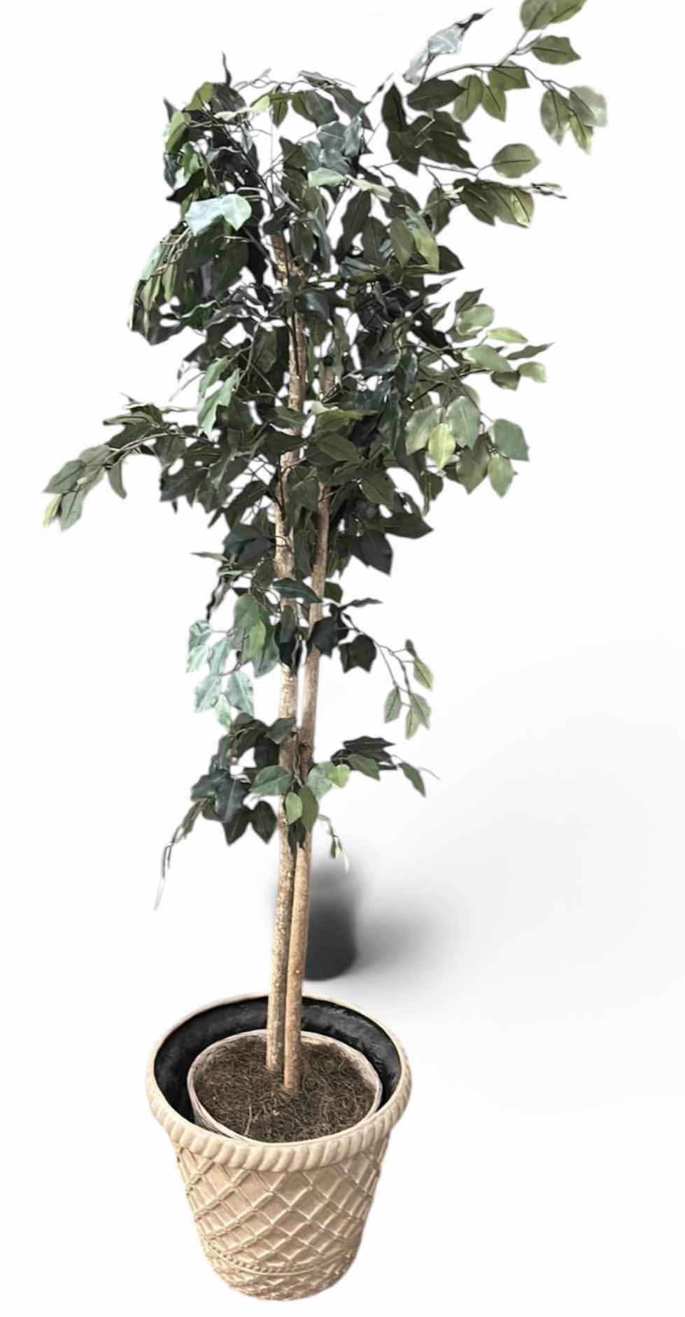 Photo 1 of ARTIFICIAL FICUS TREE 6’