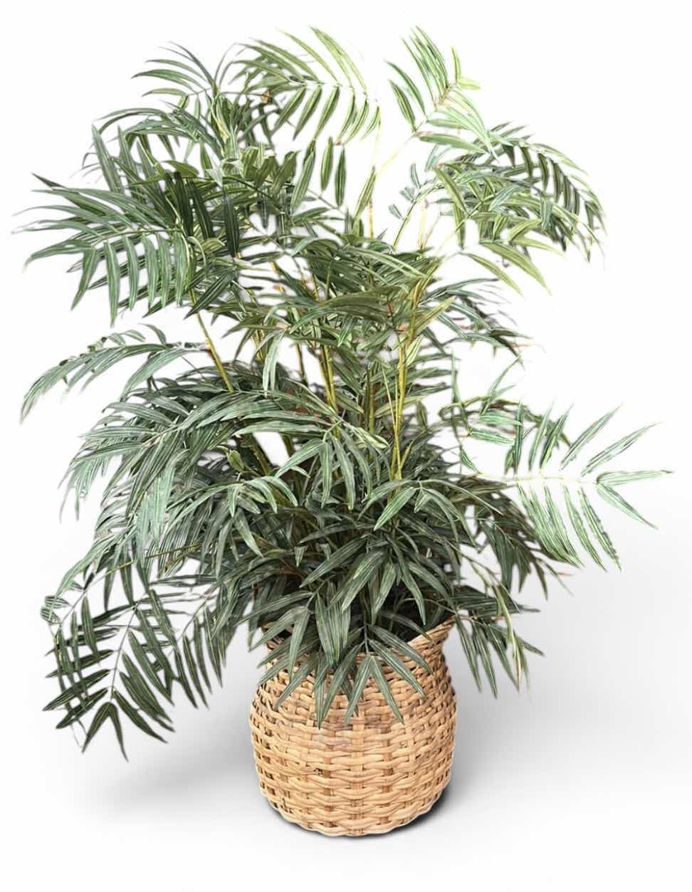 Photo 1 of ARTIFICIAL PARLOR PALM TREE H43”