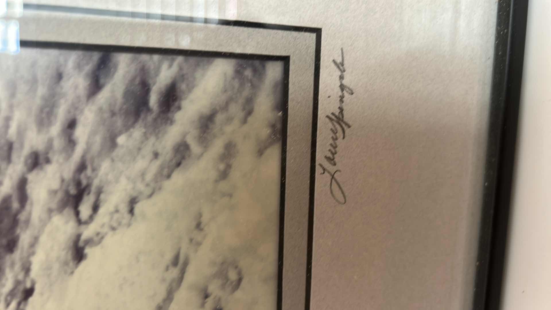 Photo 1 of FRAMED AND SIGNED FINE ART PHOTOGRAPHY, LITHOGRAPH PRINT TITLED,” WINTER RESPITE” BY LAUREL SPINGOLA  16 1/2“ x H20 1/2“