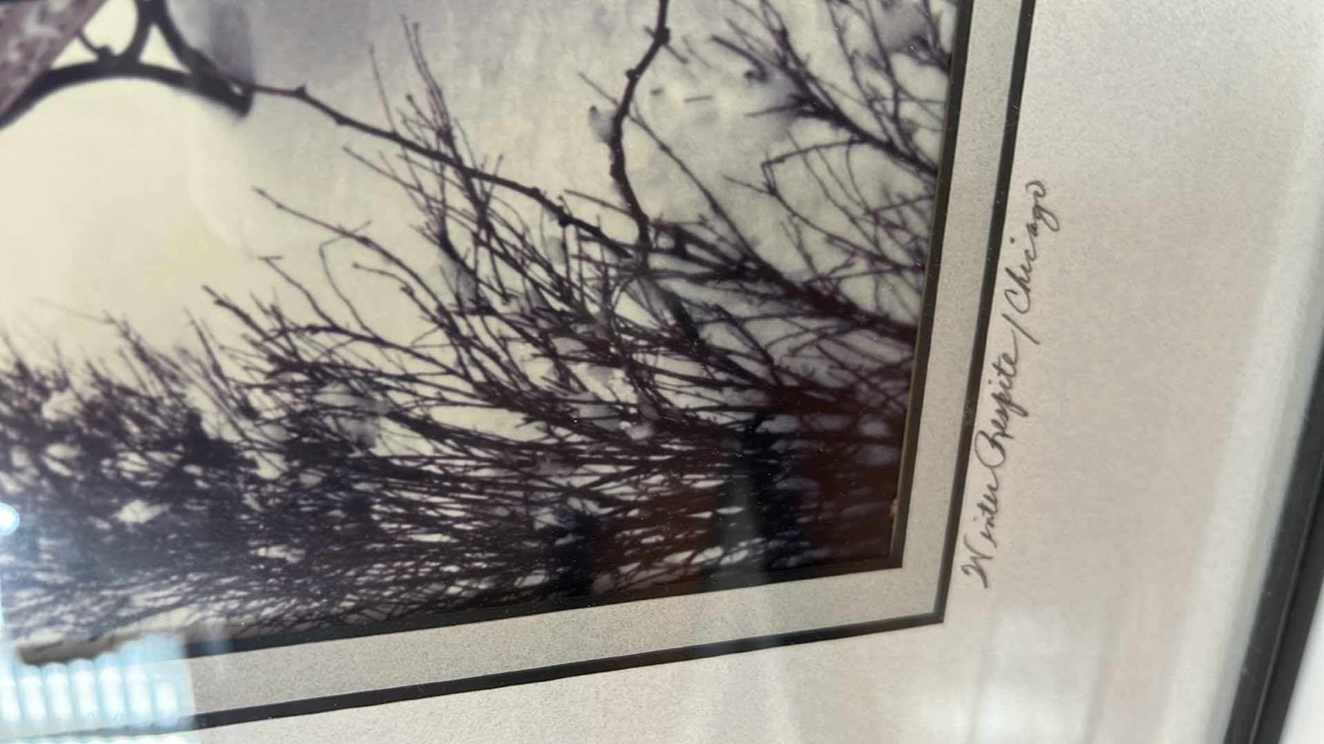 Photo 1 of FRAMED AND SIGNED FINE ART PHOTOGRAPHY, LITHOGRAPH PRINT TITLED,” WINTER RESPITE” BY LAUREL SPINGOLA  16 1/2“ x H20 1/2“