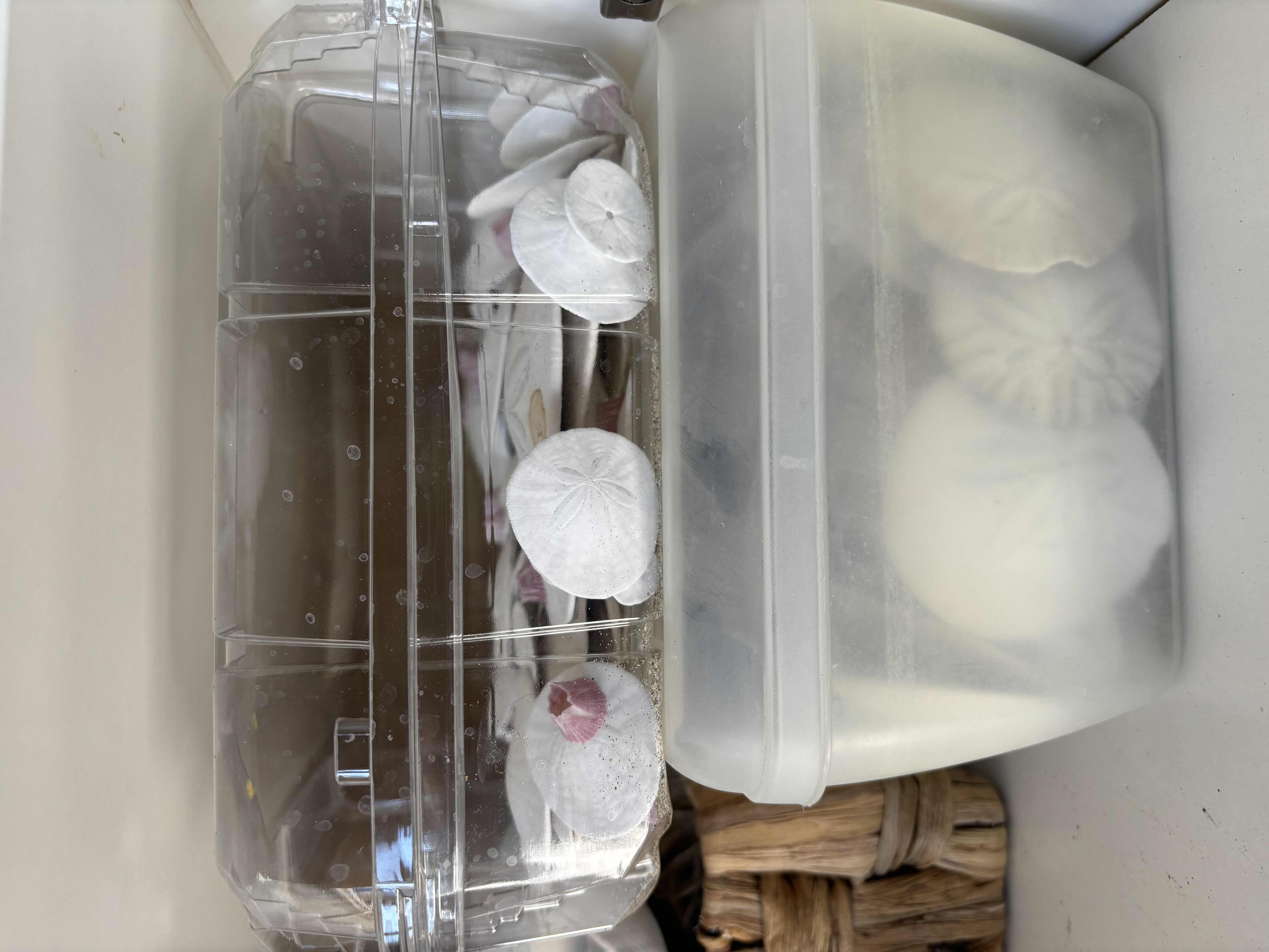 Photo 1 of CONTENTS OF GARAGE CABINET